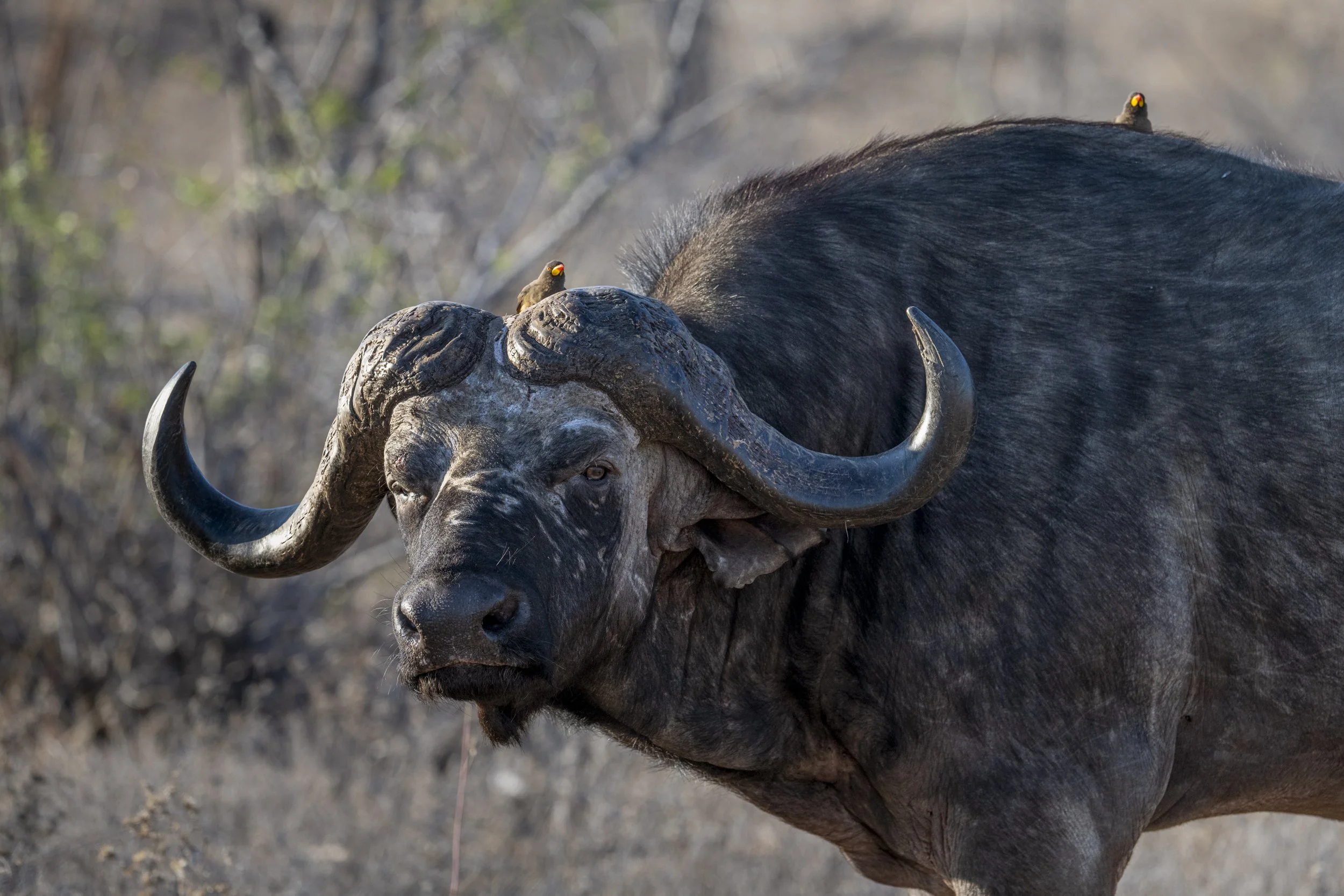 Südafrika_Family_2025-318.jpg