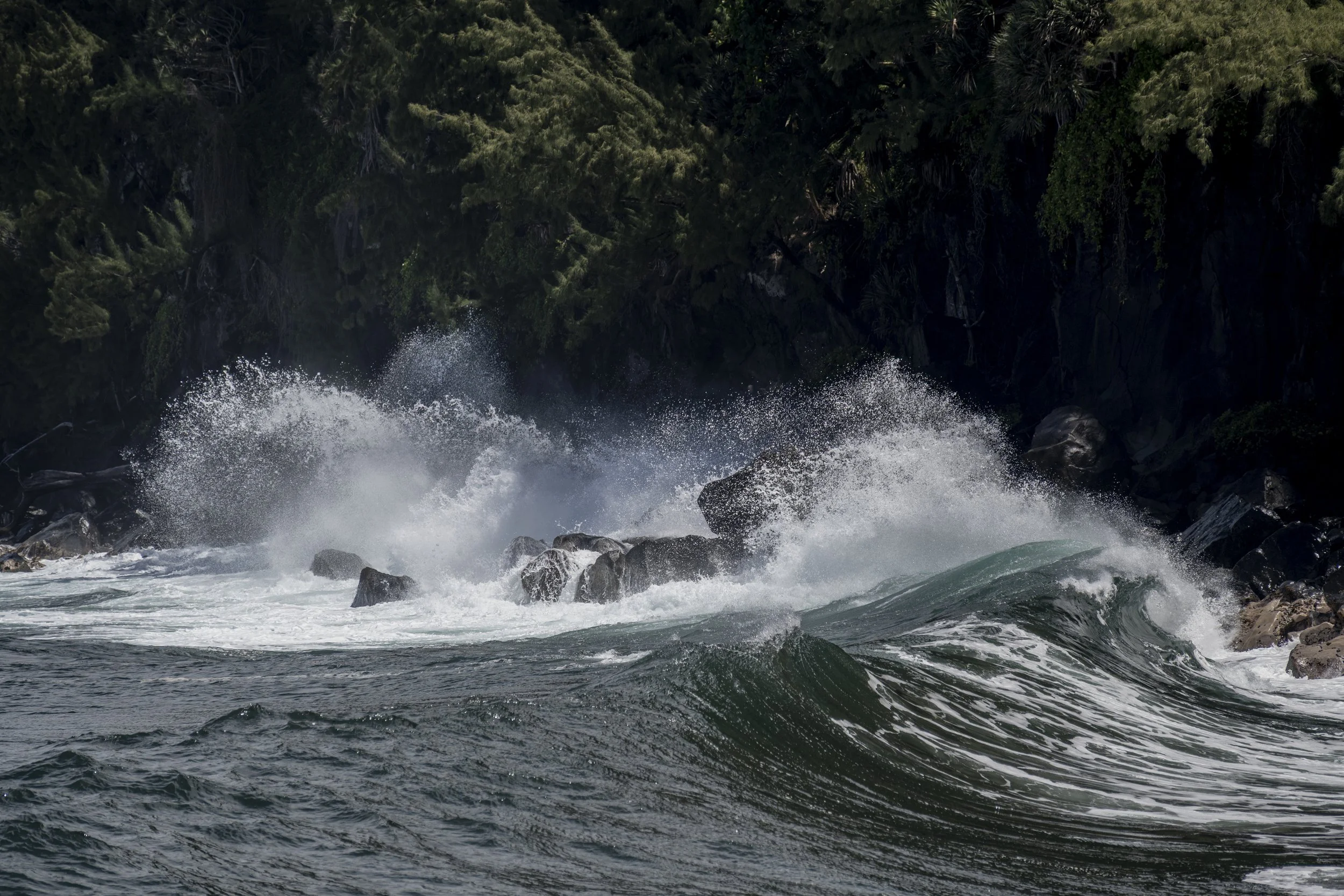 LaReunion_Mauritius_2026-508.jpg