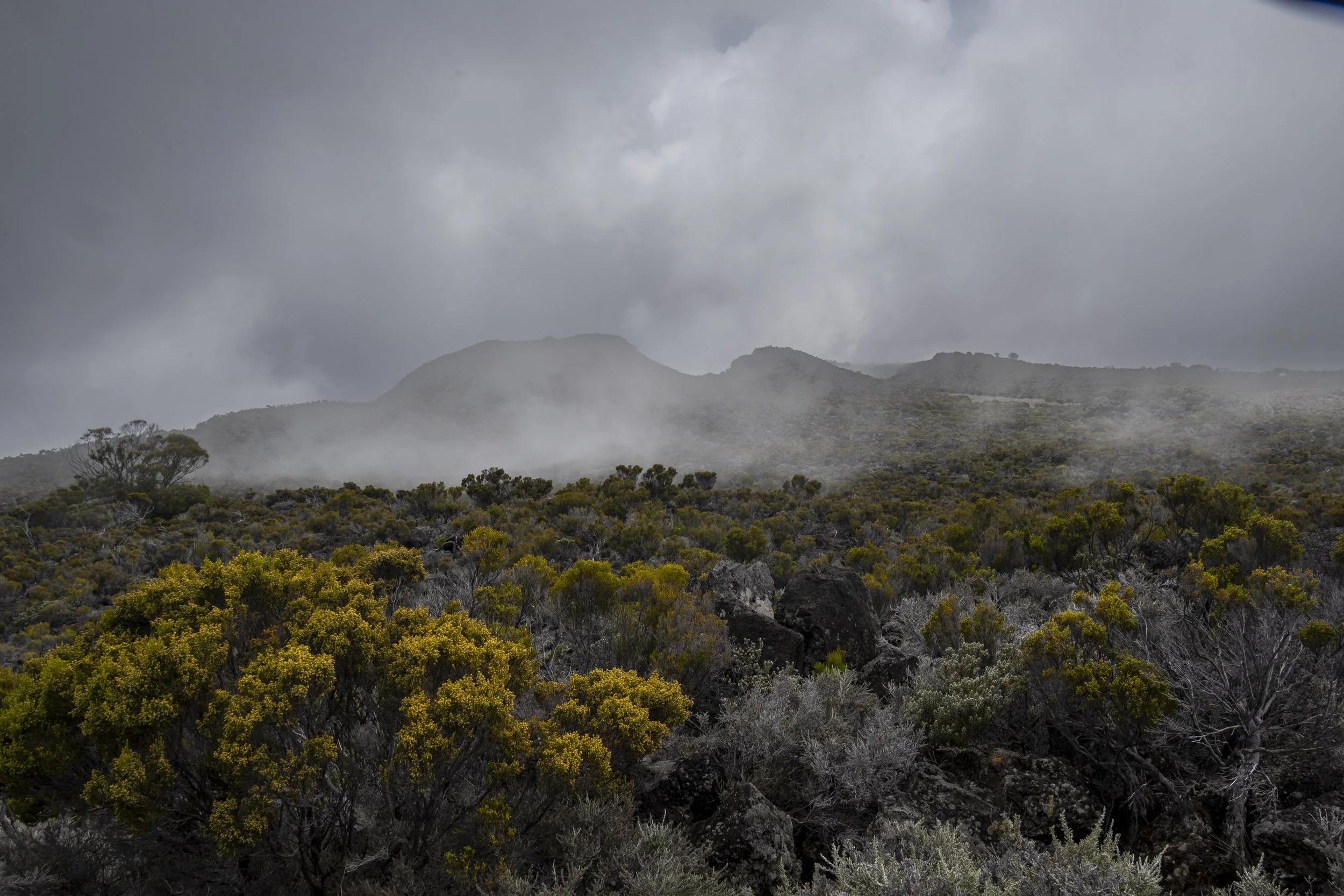 LaReunion_Mauritius_2026-516.jpg