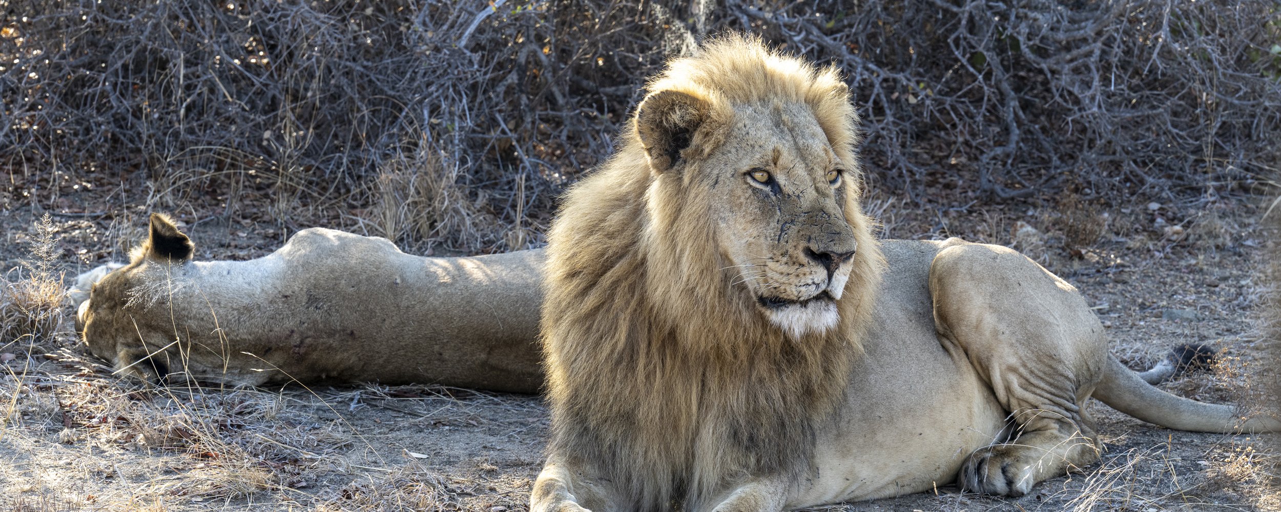 Südafrika_Web_2025-107 Titel.jpg