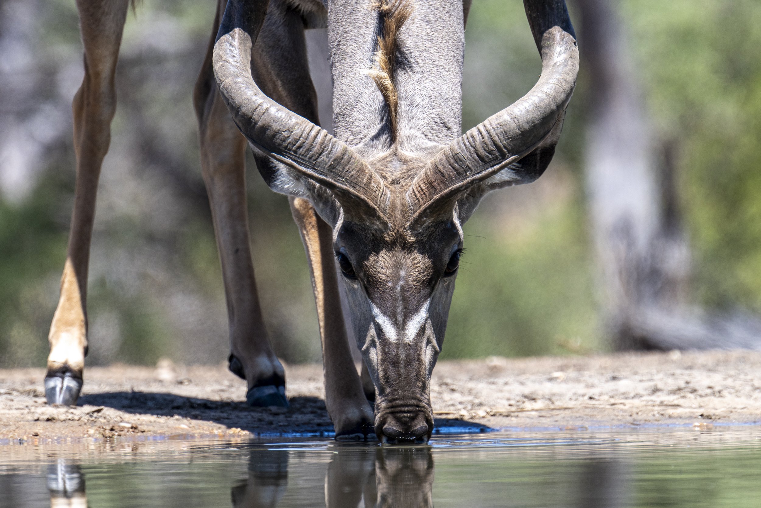 Südafrika_Family_2025-301.jpg