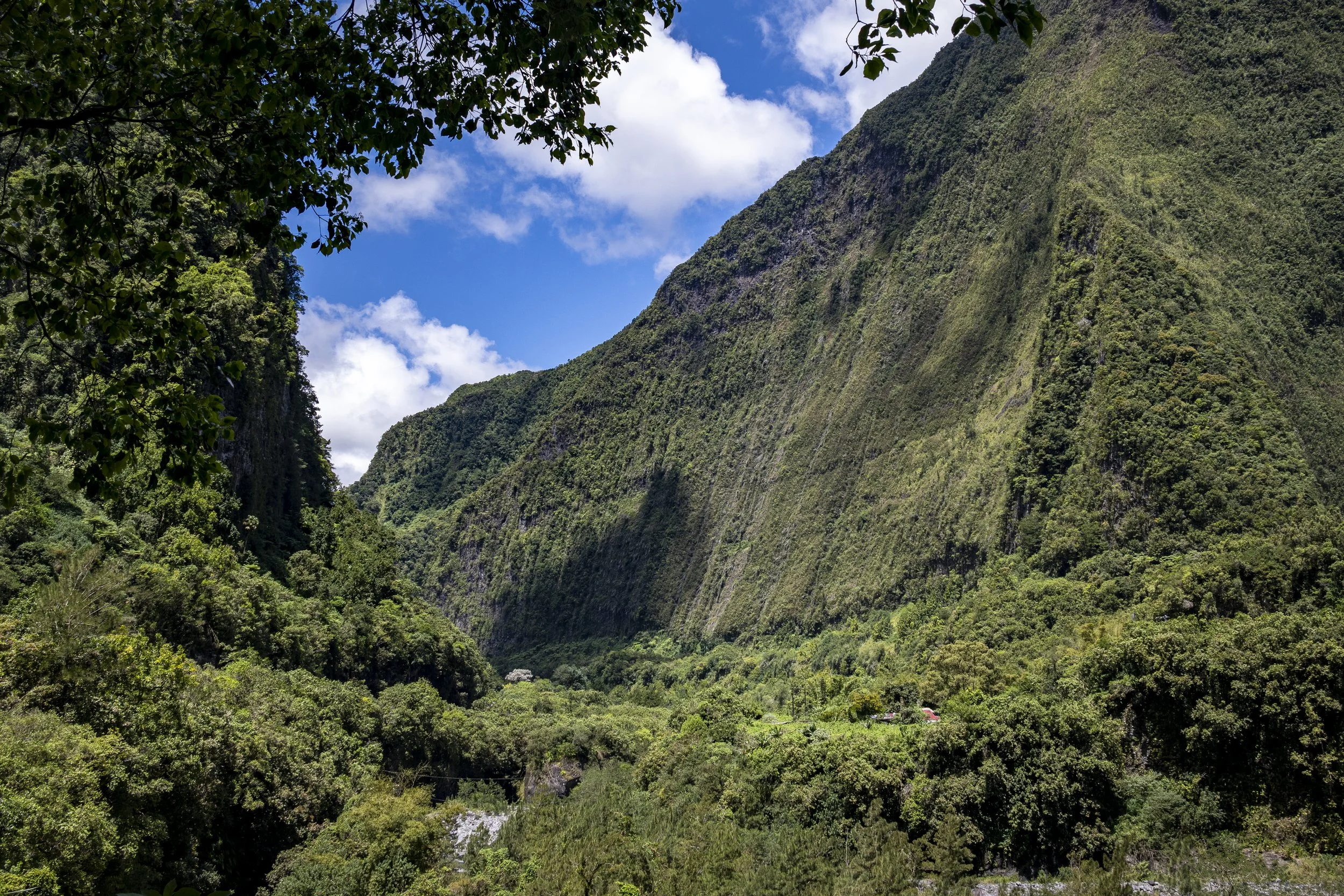 LaReunion_Mauritius_2026-504.jpg