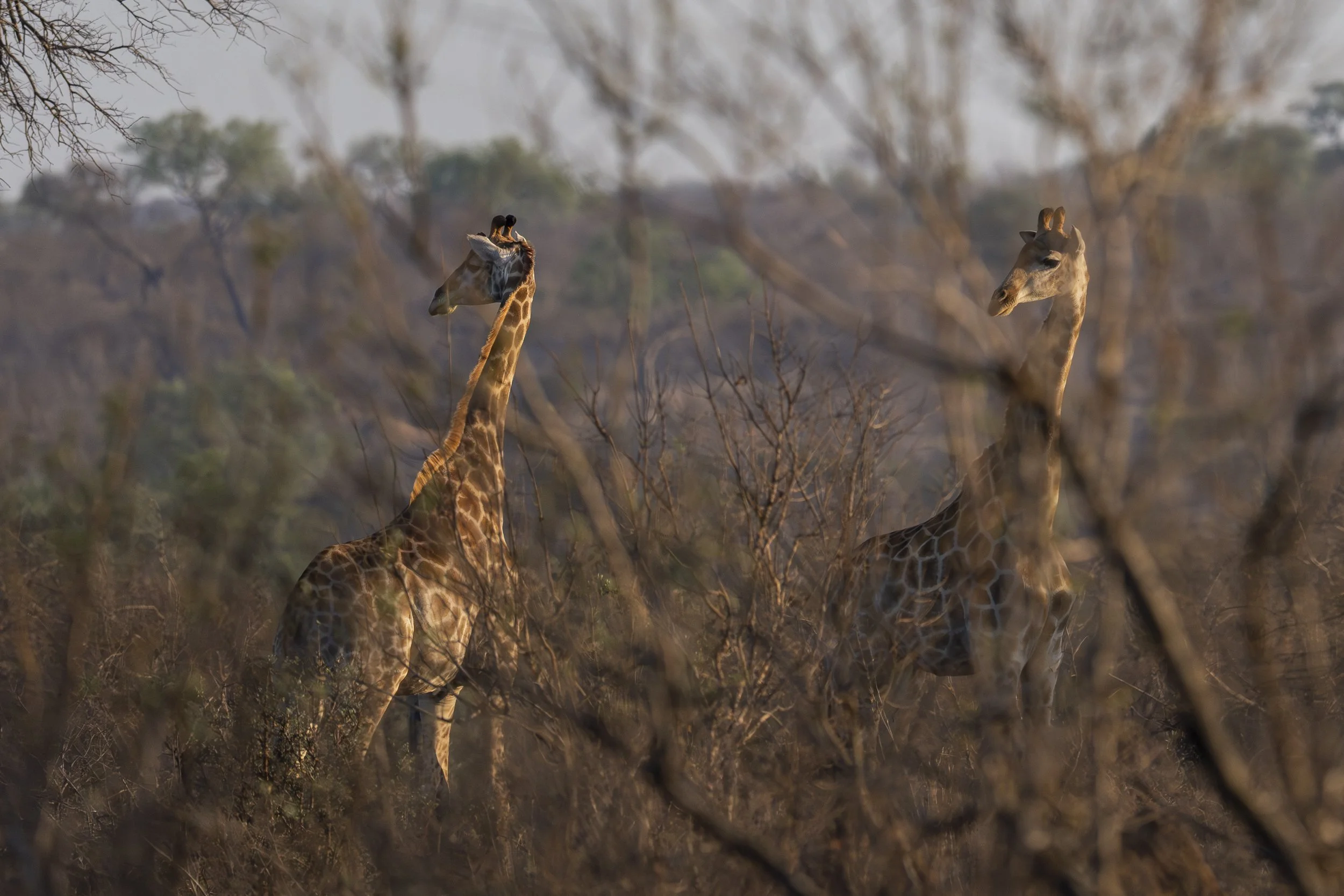 Südafrika_Family_2025-309.jpg