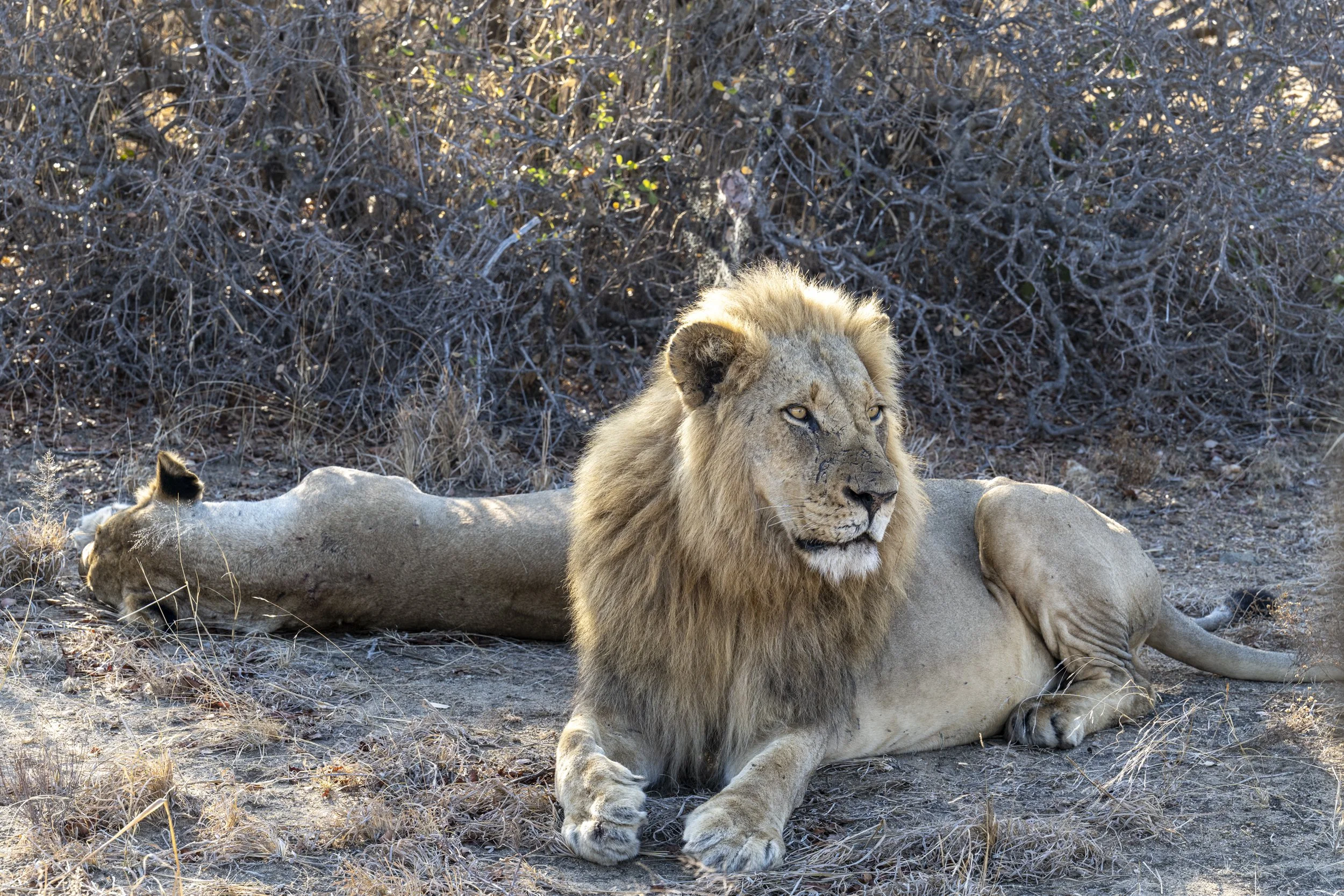 Südafrika_Family_2025-312.jpg