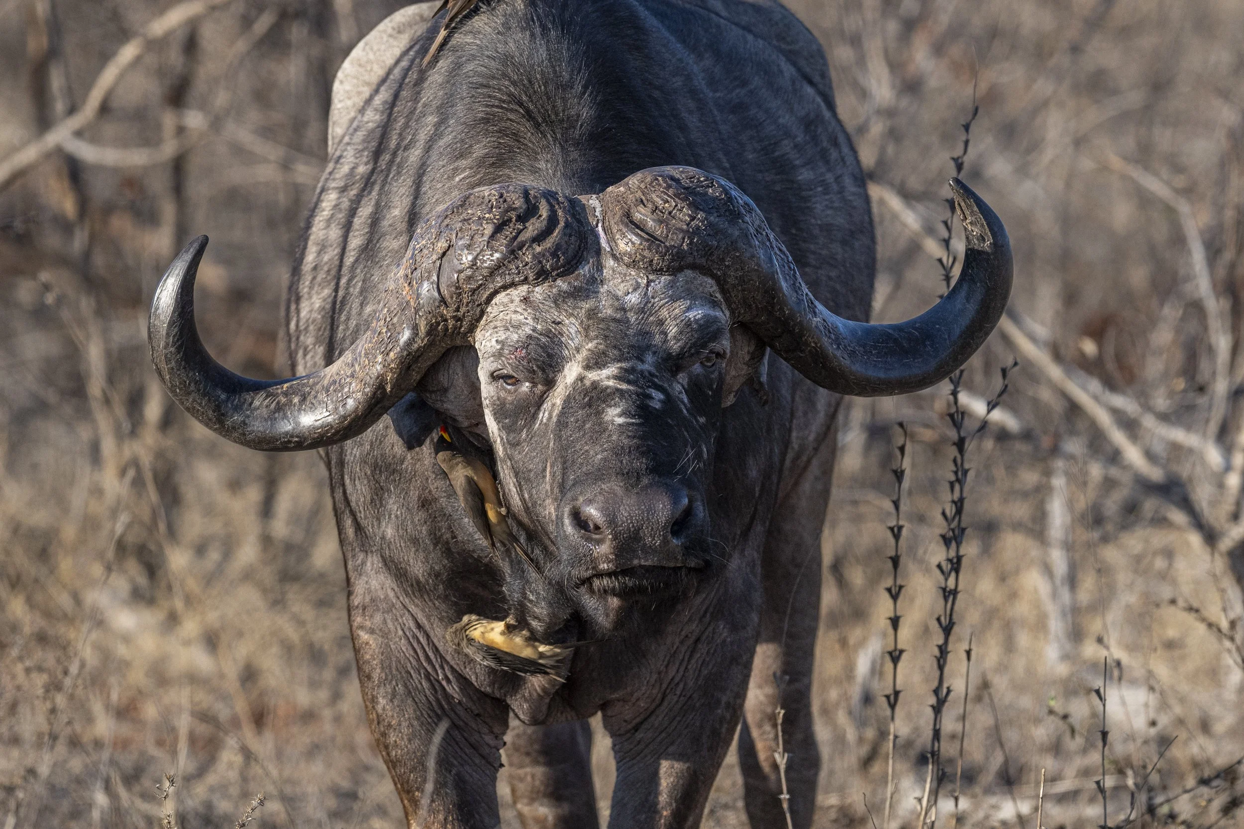 Südafrika_Family_2025-317.jpg