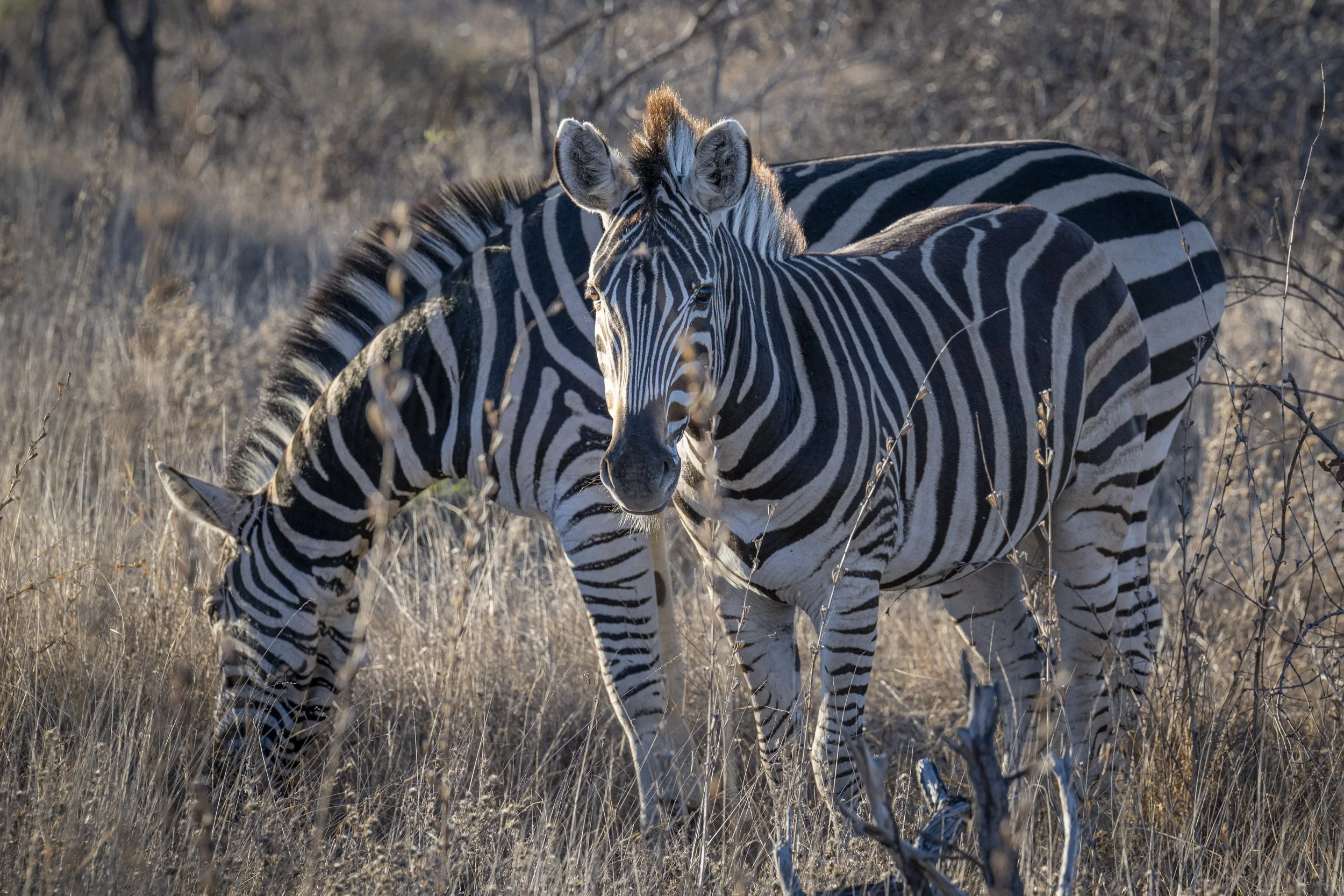 Südafrika_Family_2025-306.jpg