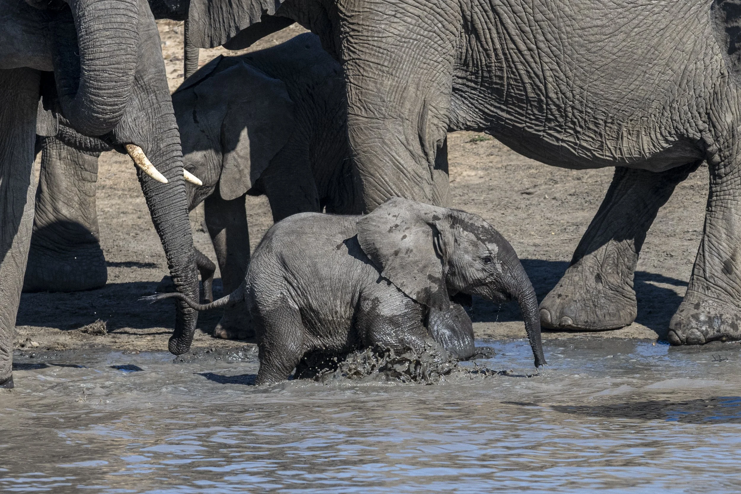 Südafrika_Family_2025-320.jpg