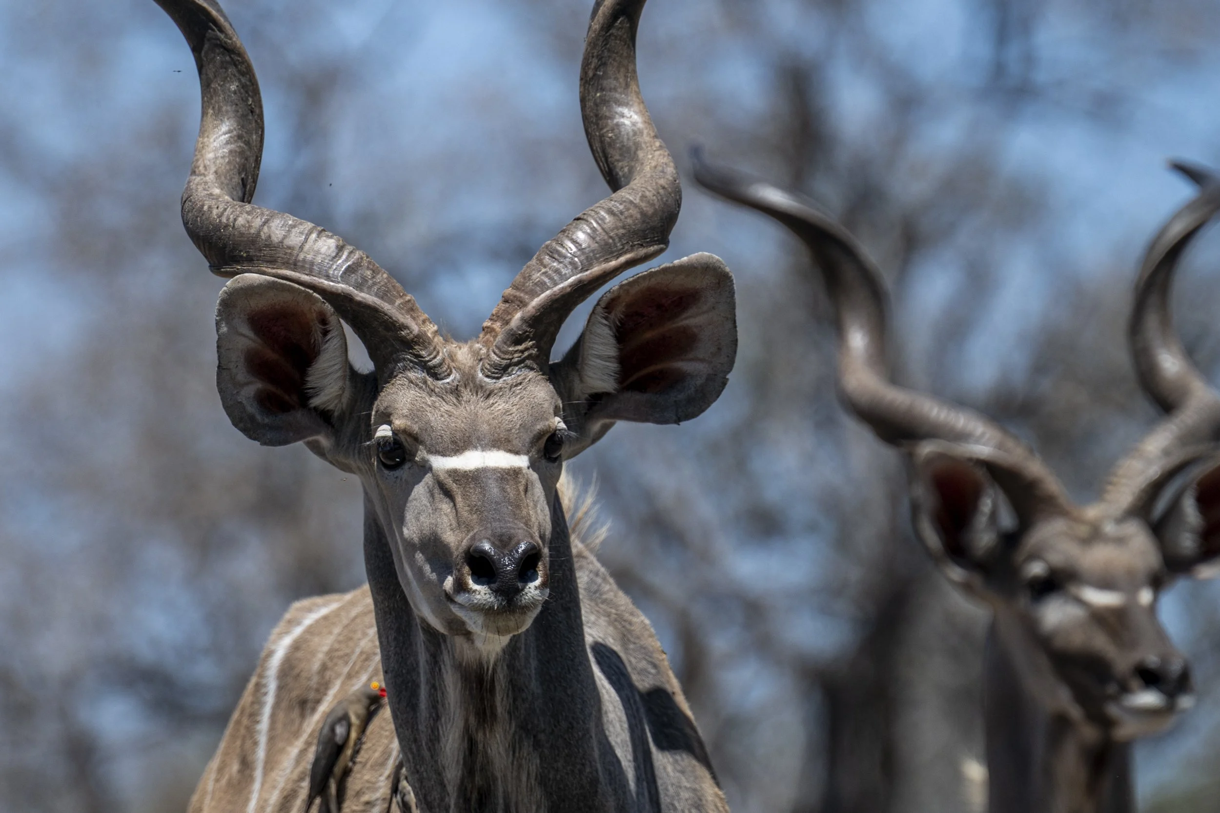 Südafrika_Family_2025-302.jpg