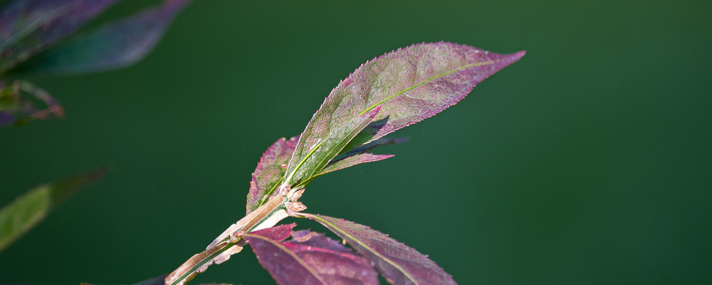 Herbst Wetter Web 02.jpg