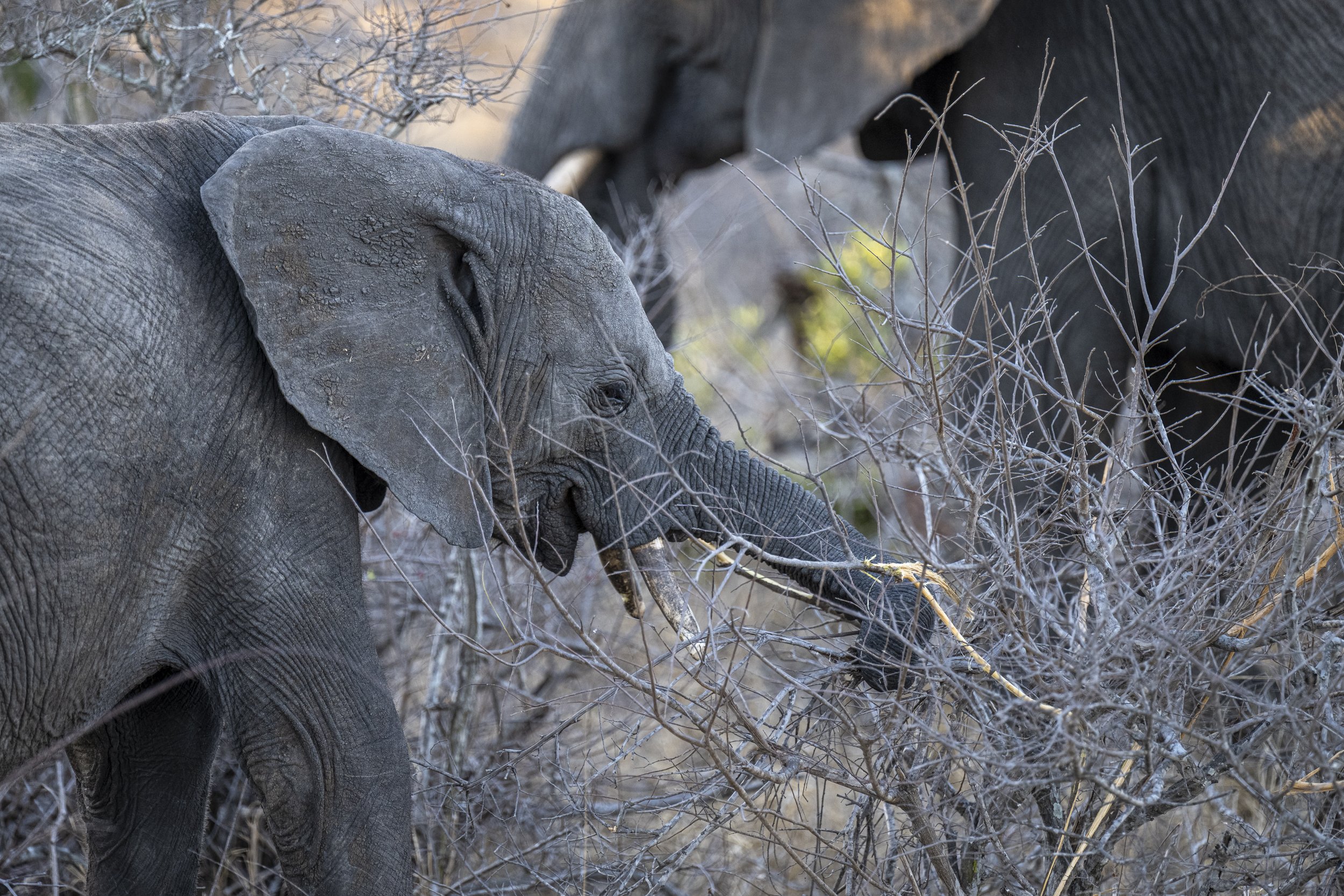 Südafrika_Family_2025-322.jpg