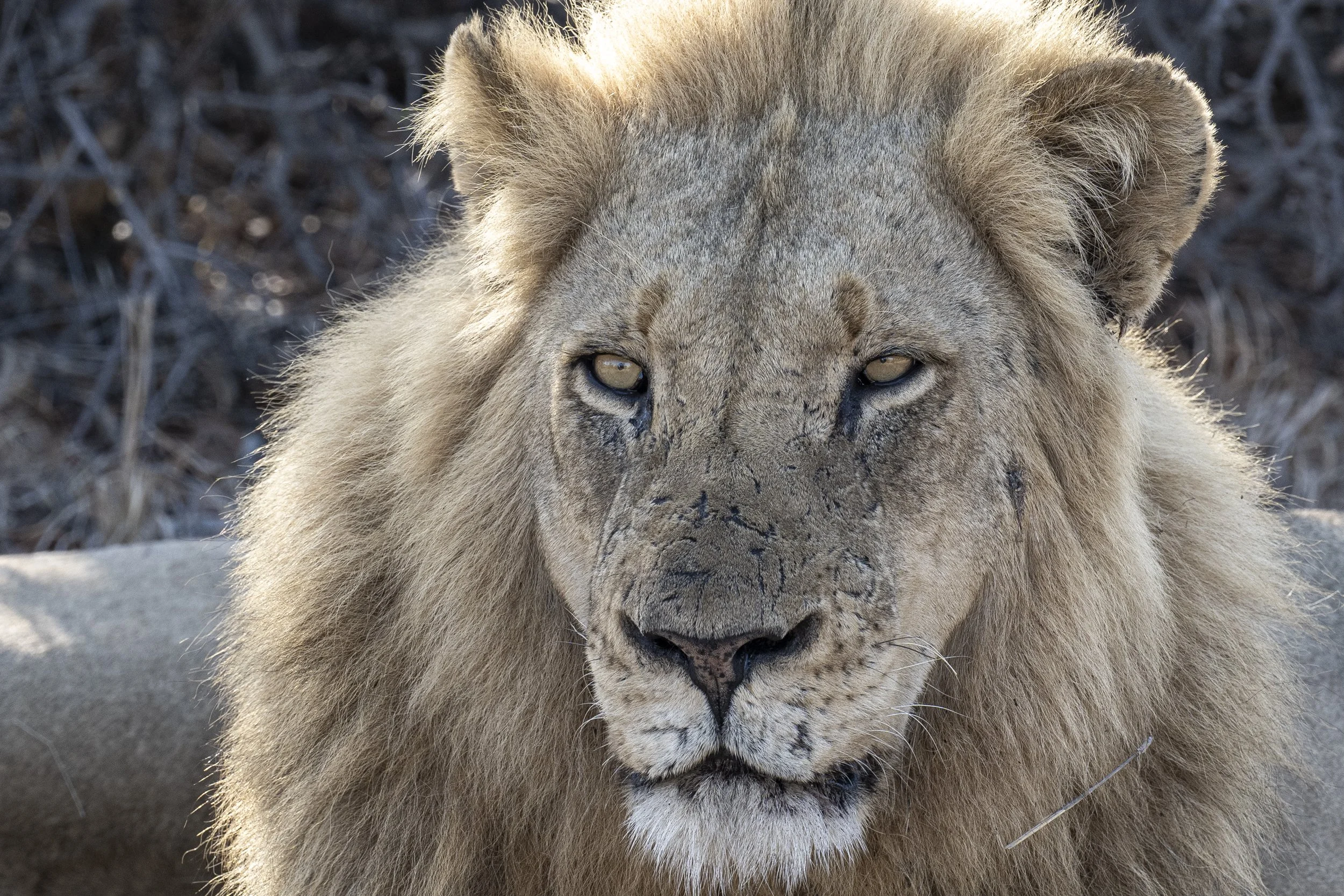Südafrika_Family_2025-313.jpg