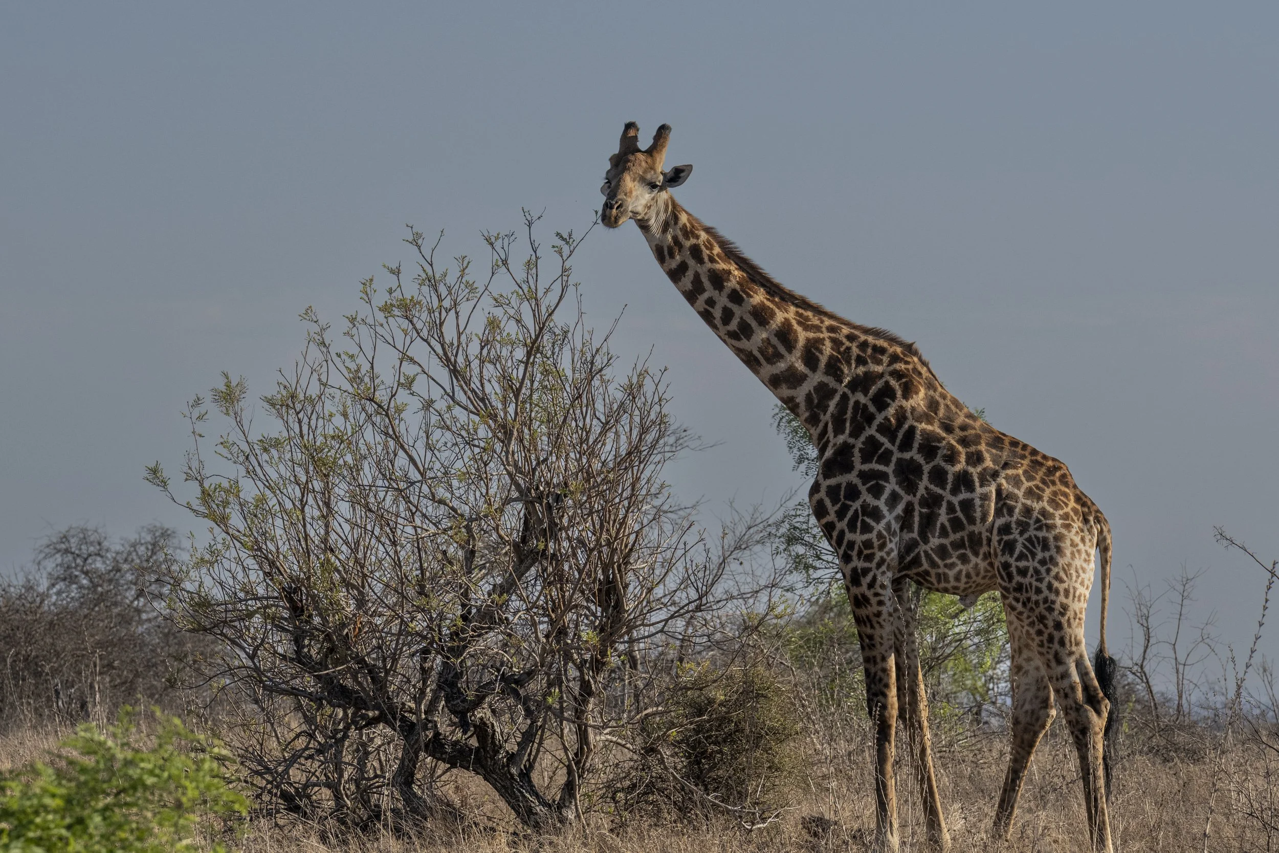 Südafrika_Family_2025-310.jpg