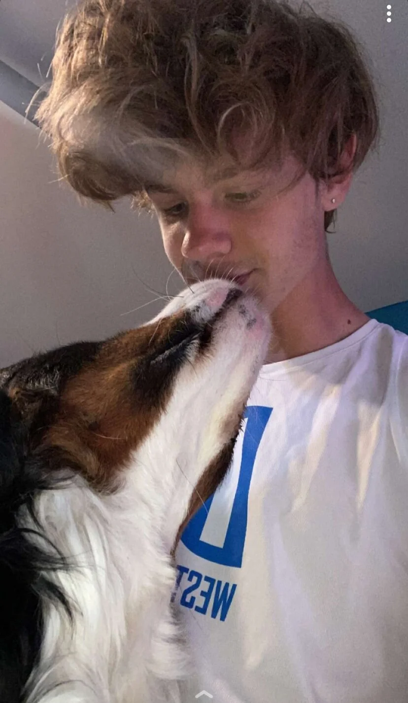 A person with tousled hair wearing a white shirt appears to be affectionately interacting with a dog, which is nuzzling their face. The dog has a brown and white coat.