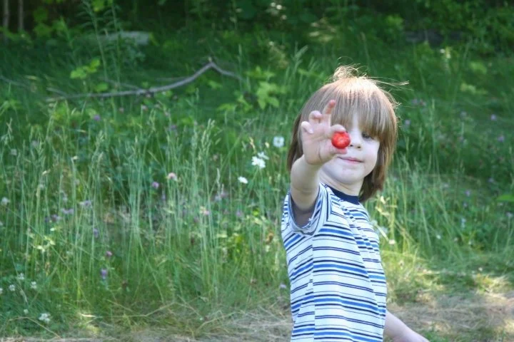 A young girl with red hair wearing a blue and white striped shirt, holding a small red berry towards the camera, standing outdoors in a grassy area with wildflowers and greenery.