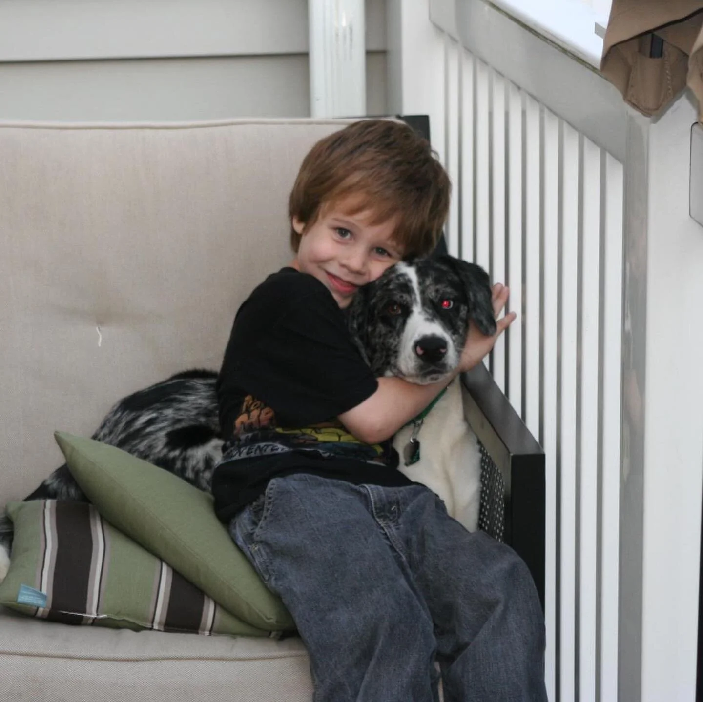 A young boy hugging a black and white dog on a patio couch with pillows.