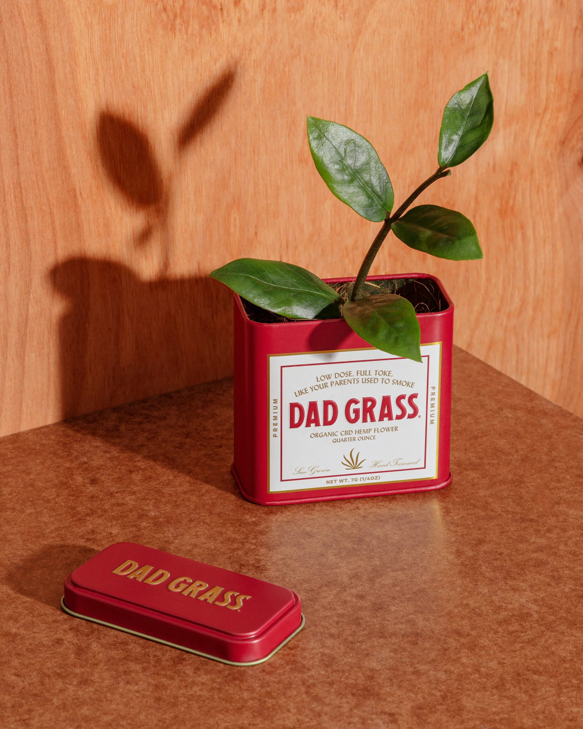 DAD-GRASS-005.jpg