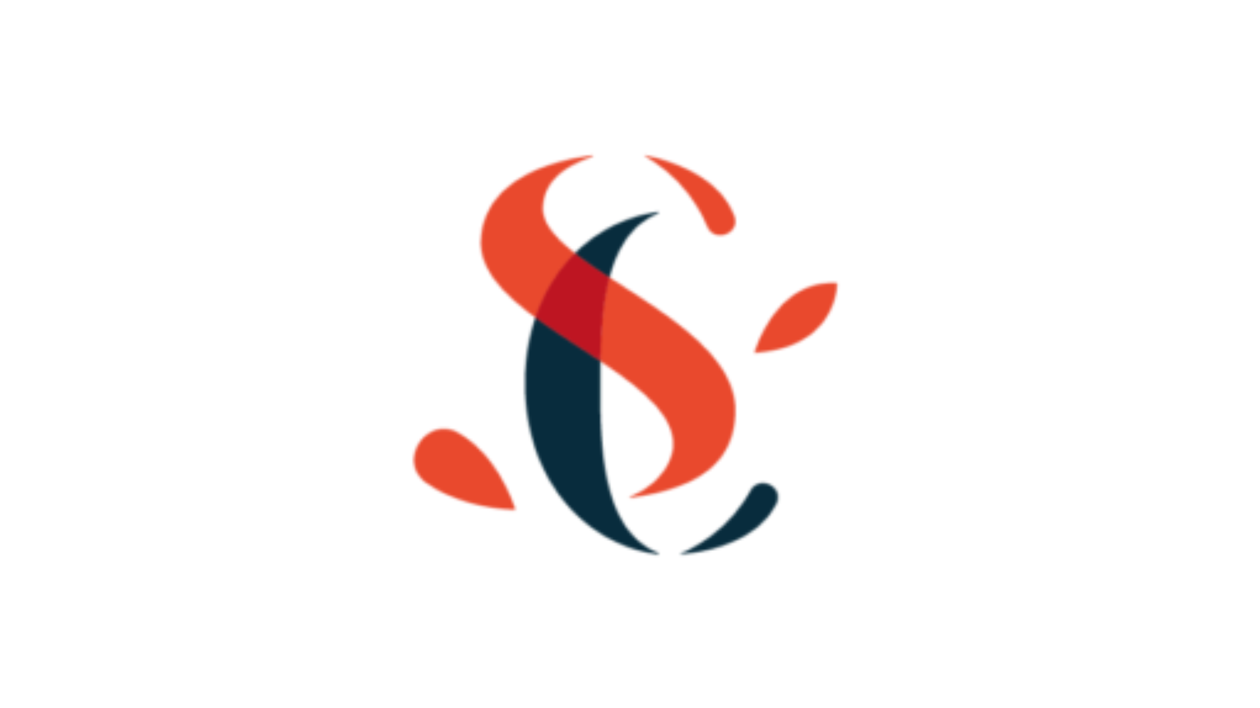 SANDRA CHALINET CONSEIL