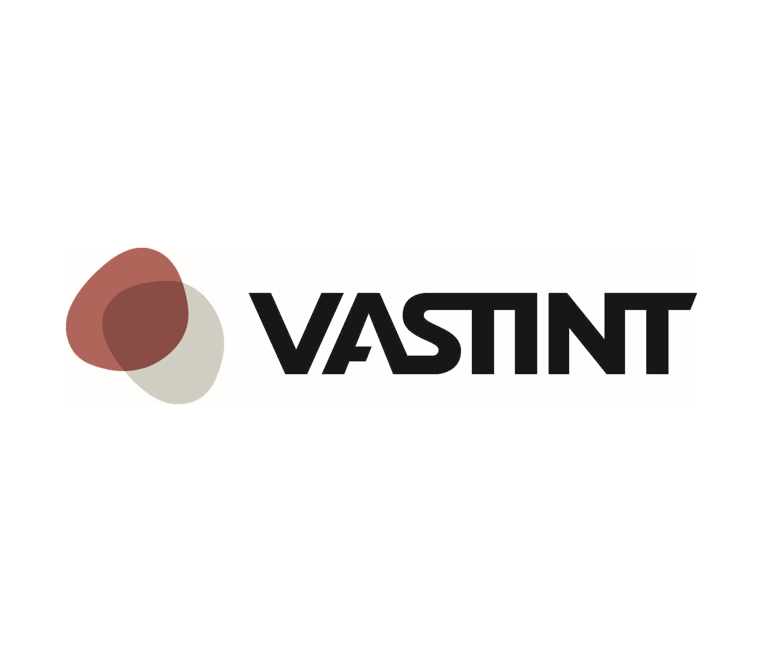 VASTINT FRANCE