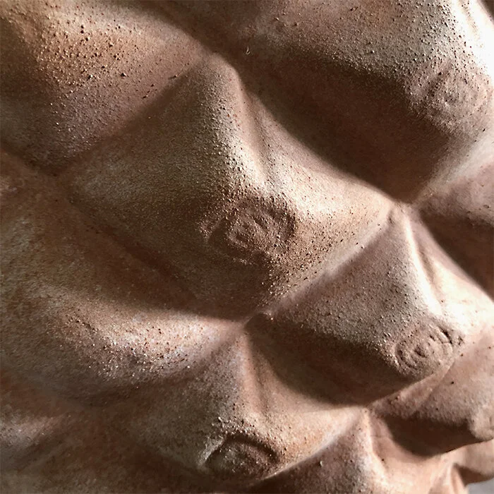 pinedetail1.jpg