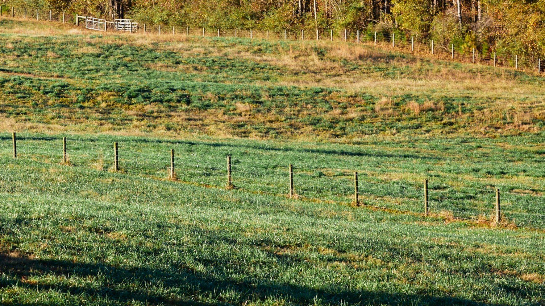 RRC_14.jpg