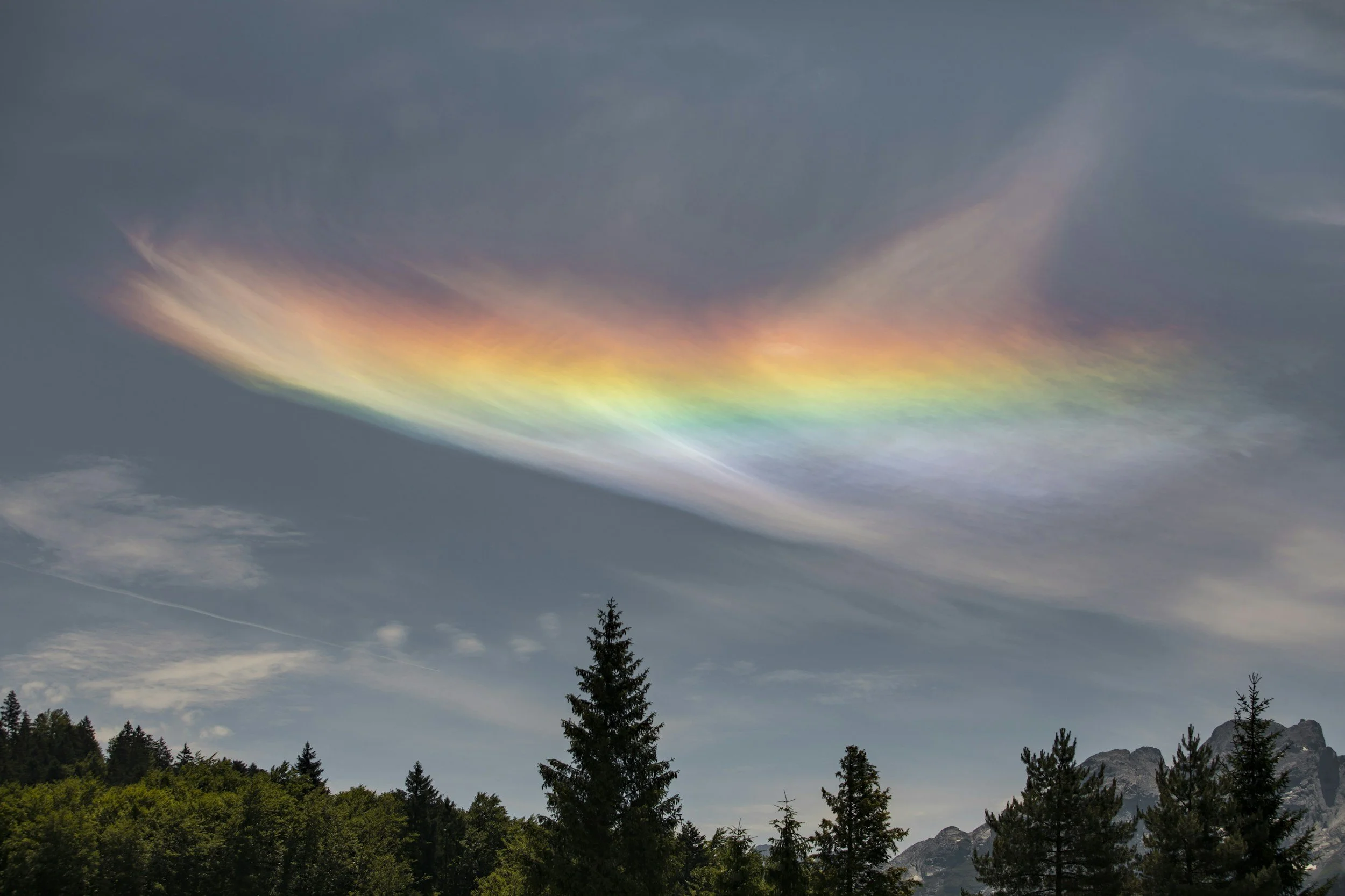 Calm, grounded image symbolizing covid-conscious and covid-cautious therapy, accessible psychotherapy, and community care in embodied relational Gestalt practice.