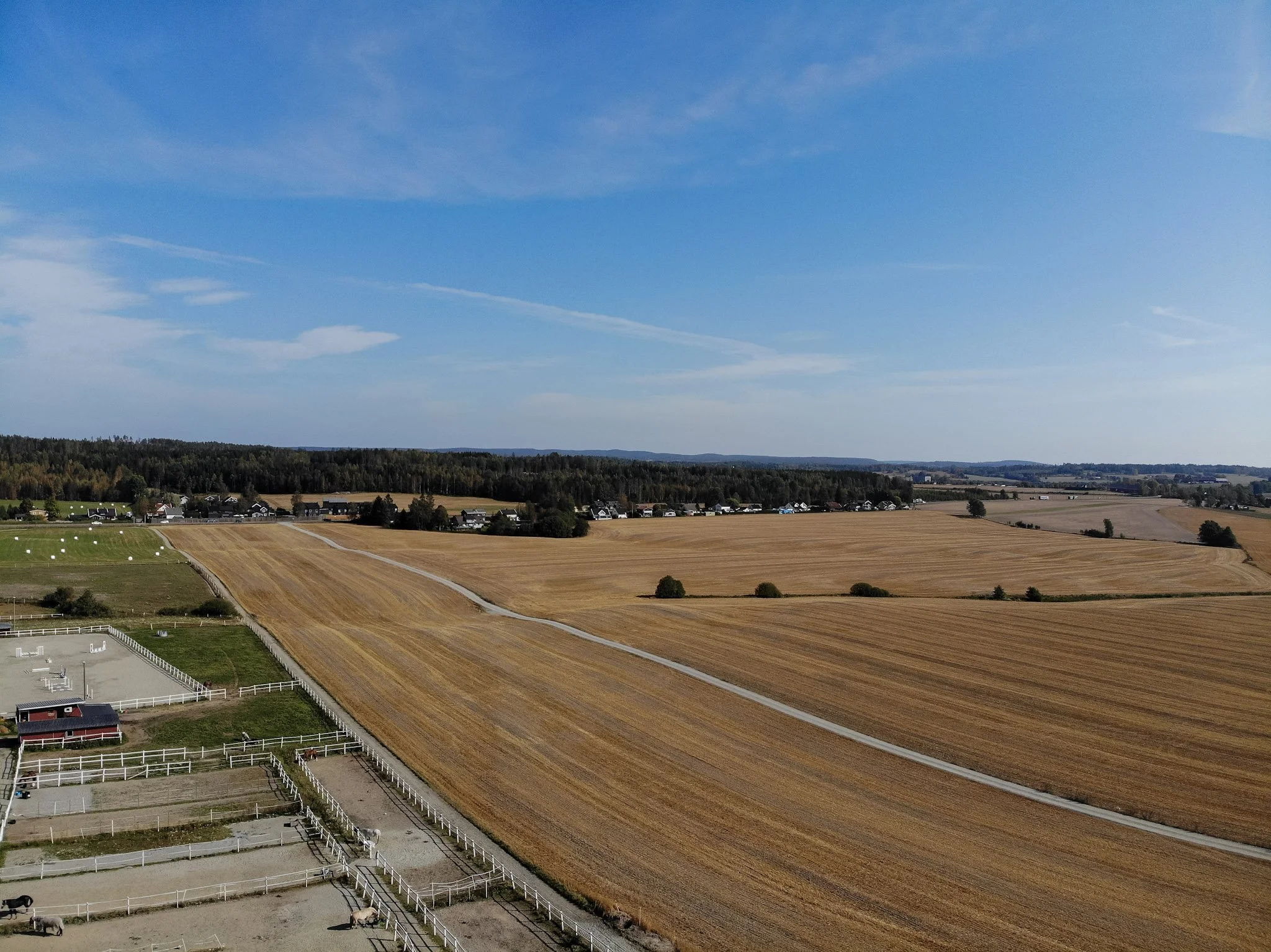 All Weather Track.jpeg