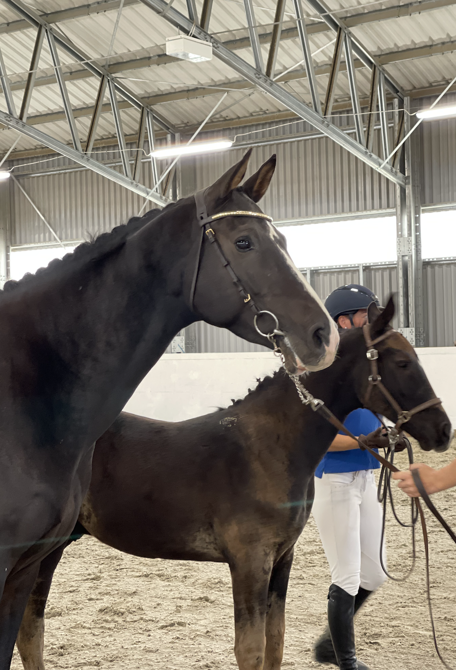 Screenshot 2022-01-07 at 16.20.21.png