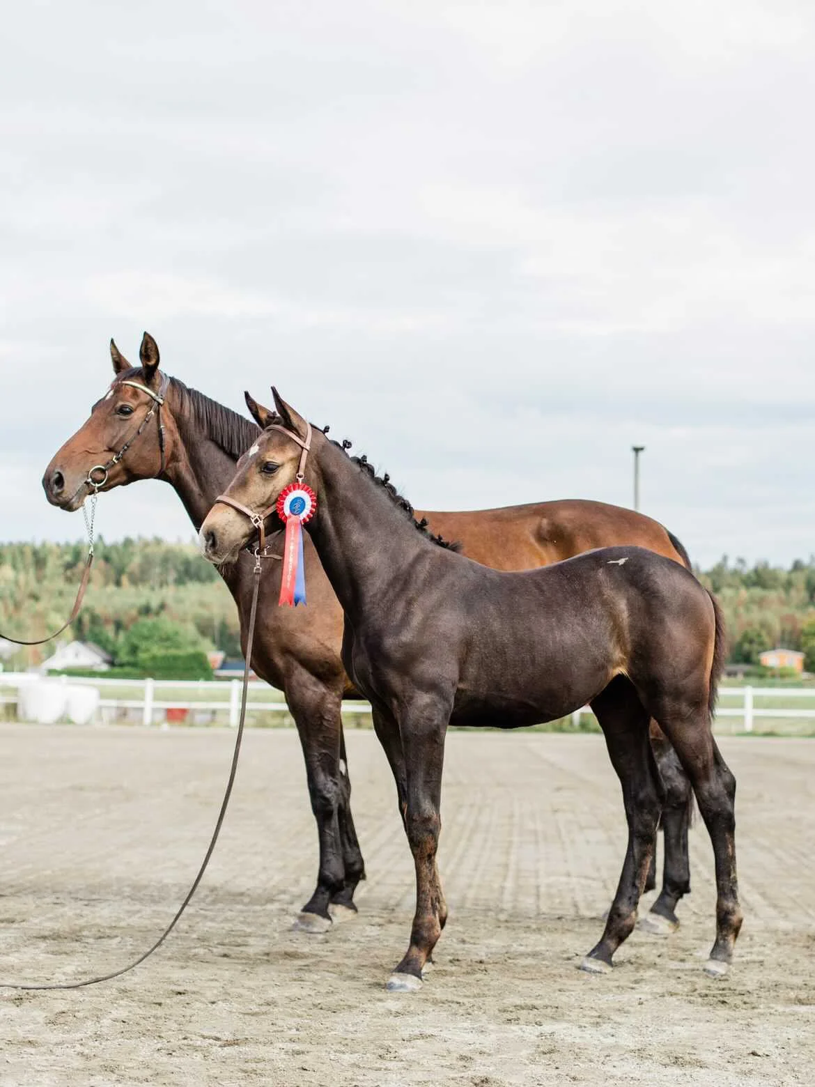 AF09BF9A-D3C6-4563-9809-5FADEAA36249 2.JPG