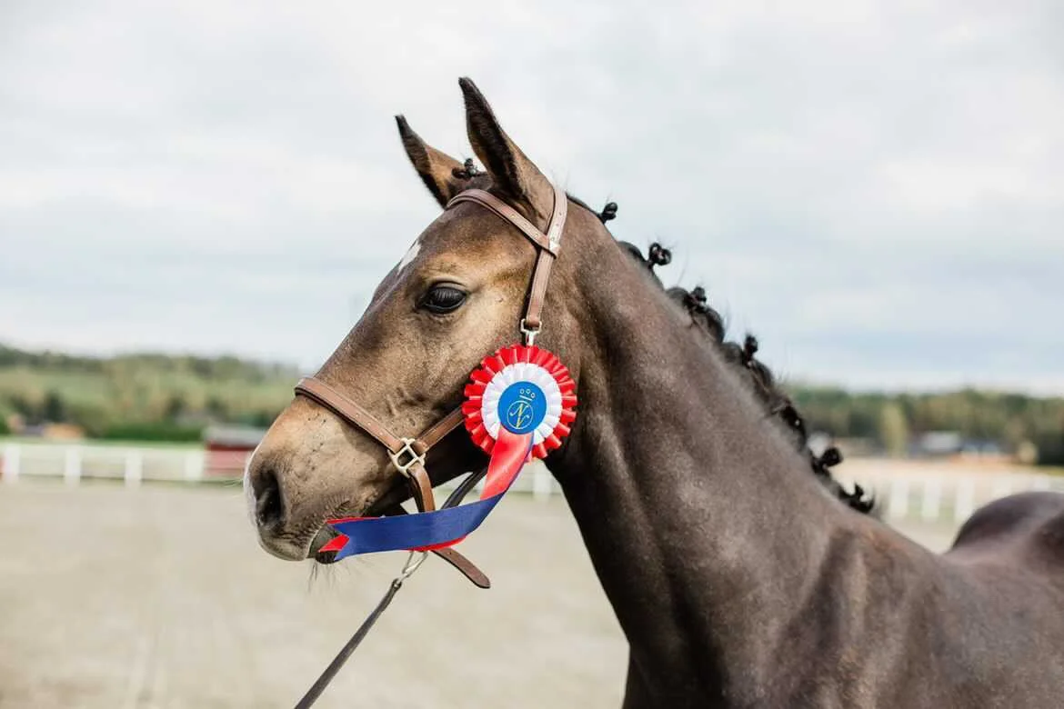 D9E30A33-FDAF-4A48-B031-1BC9596D4723 2.JPG