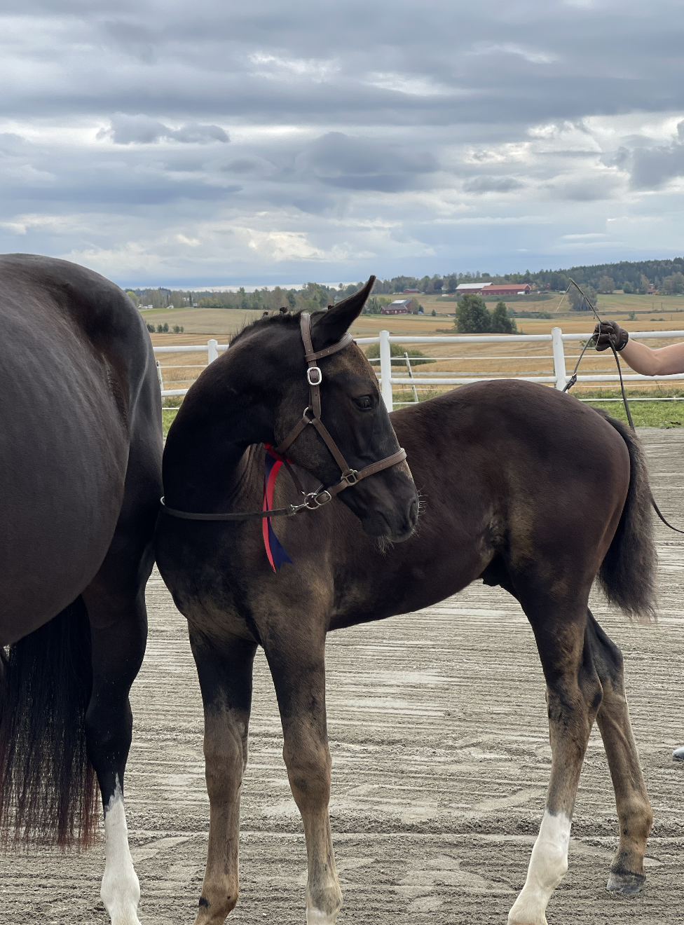 Screenshot 2022-01-07 at 16.20.28.png