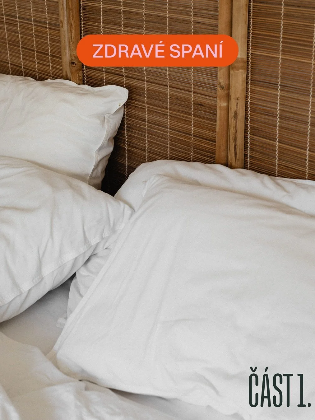 Sp&aacute;t jako &scaron;&iacute;pkov&aacute; růženka? V tom v&aacute;m rozhodně pomůže zdrav&eacute; prostřed&iacute; v ložnici. A my v&aacute;m d&iacute;l po d&iacute;lu odhal&iacute;me, jak na to.

N&aacute;&scaron; tip? Tito v&yacute;robci:
@dors