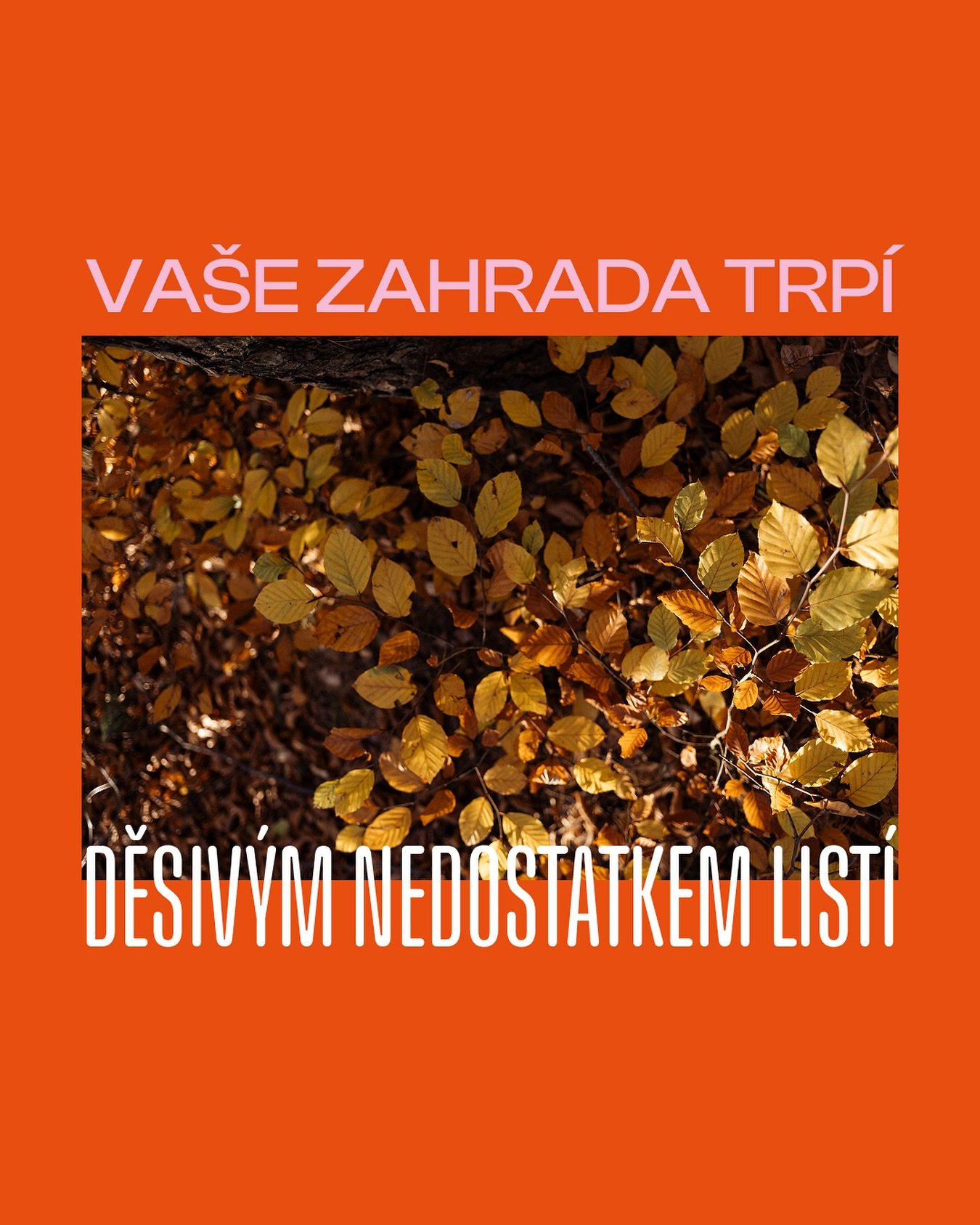 Protože list&iacute; nen&iacute; probl&eacute;m, ale převlečen&yacute; poklad.

P&aacute;r důvodů, proč ho na zahradě neodkl&iacute;zet &uacute;plně:
🍂 Živ&aacute; zimn&iacute; deka pro tvory
Ježci, čmel&aacute;ci, slun&eacute;čka, ž&iacute;žaly a d