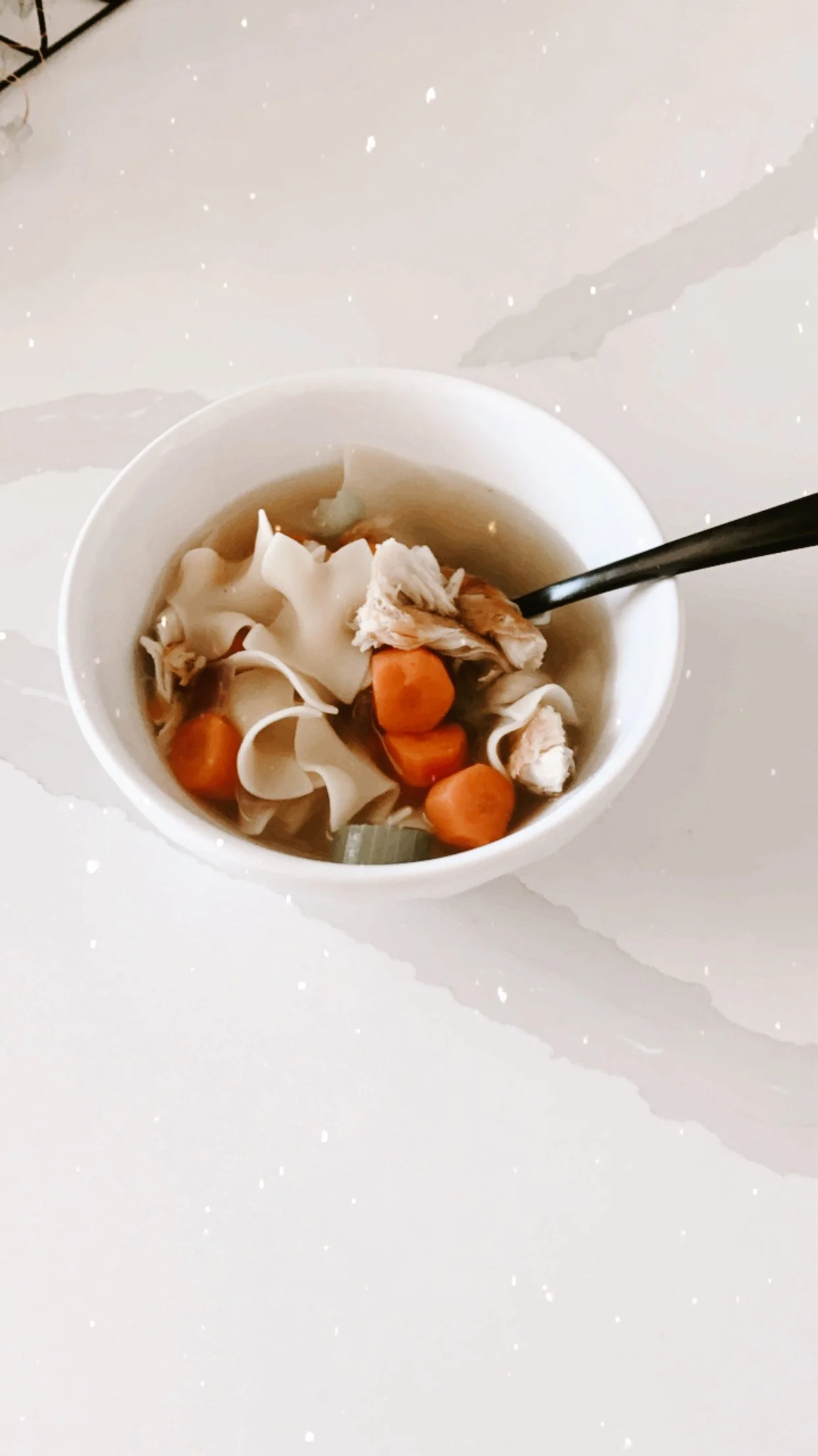 Chicken Noodle Soup
