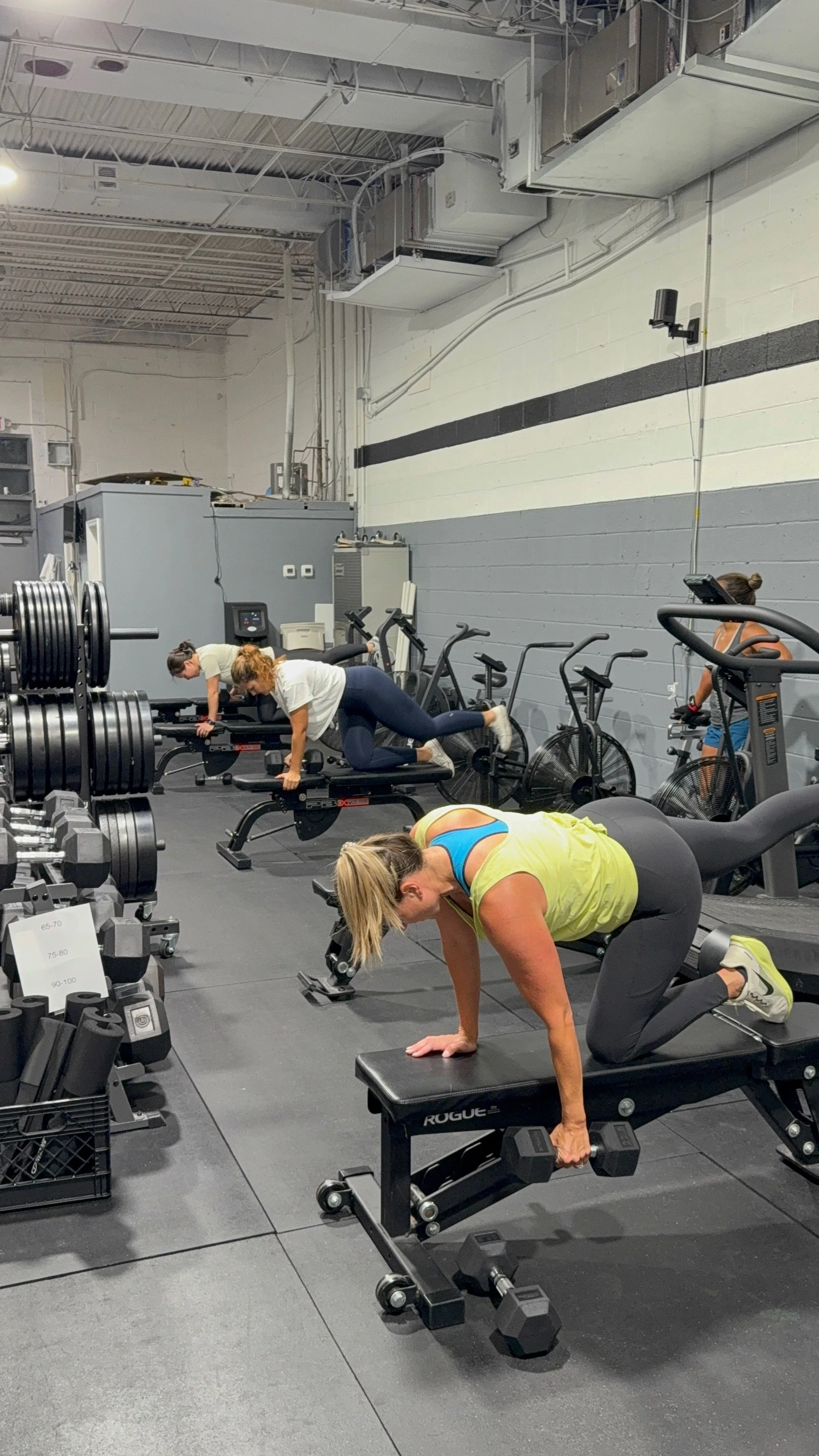 adult small group personal training, strength strength, women who lift