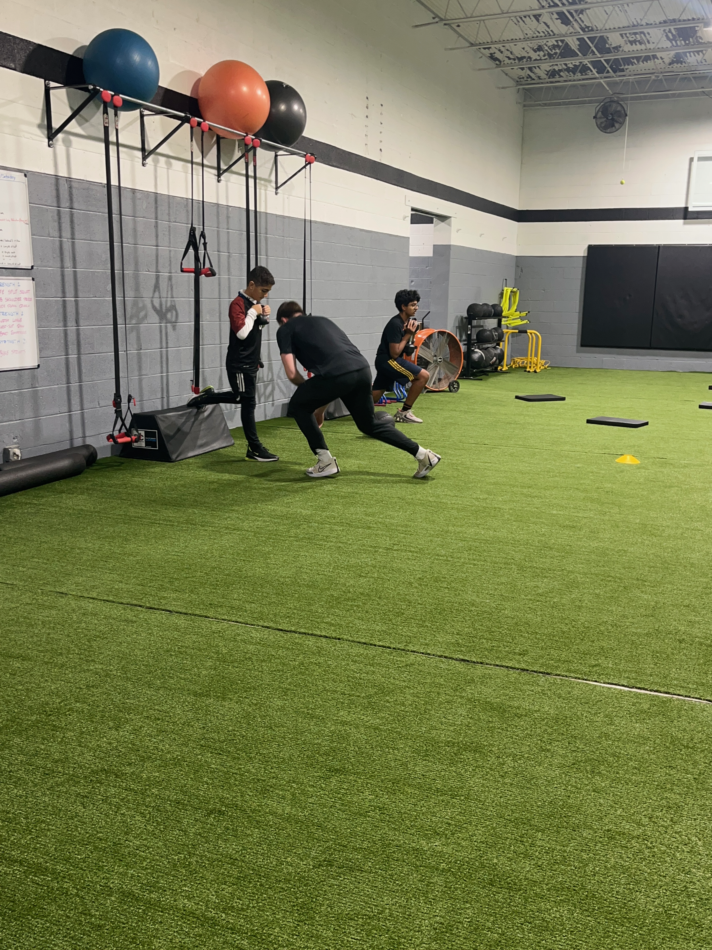 sports performance training