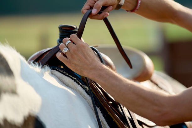 Person adjusting a saddle on a white horse outdoors.