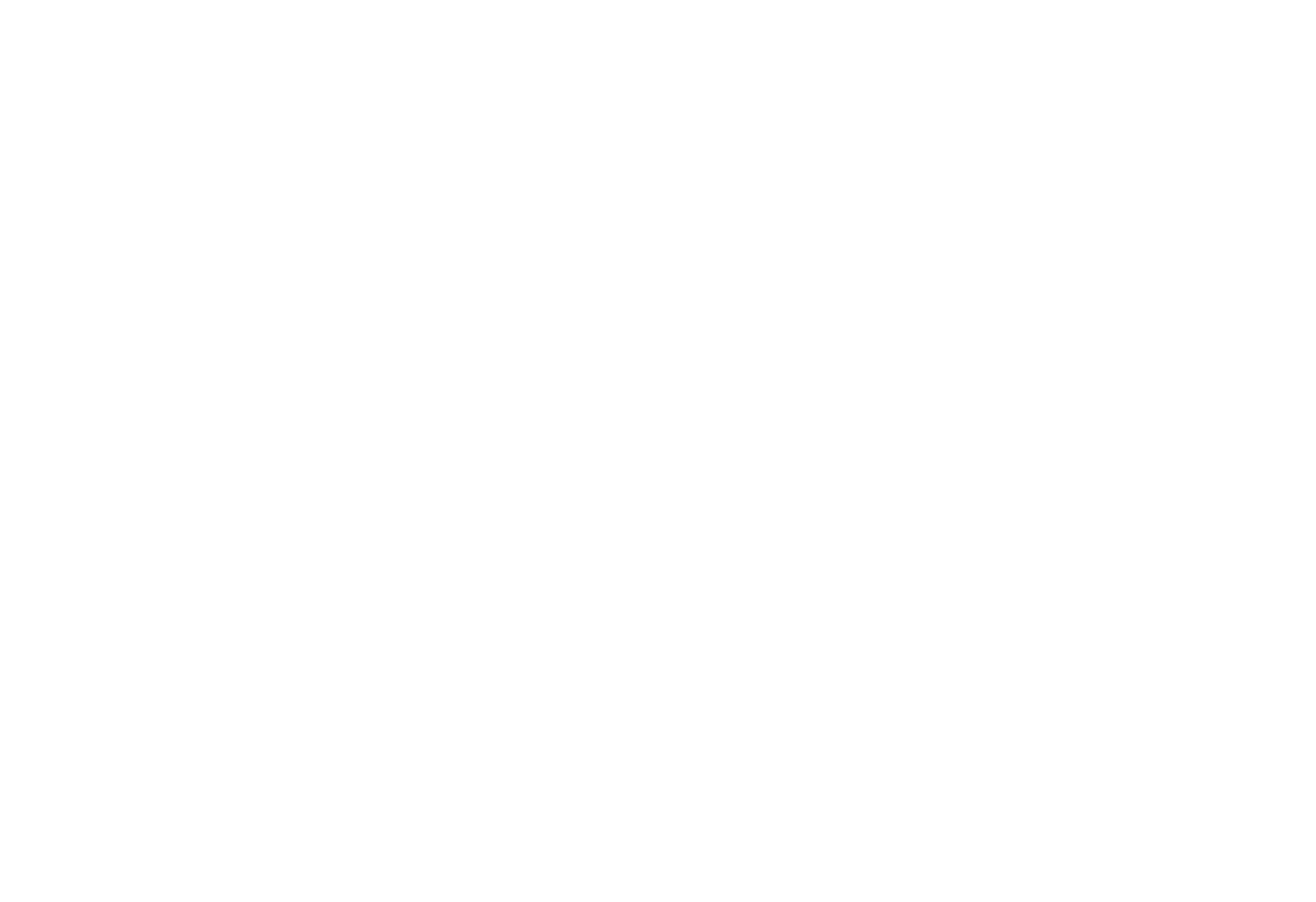 LVLogo_white.png