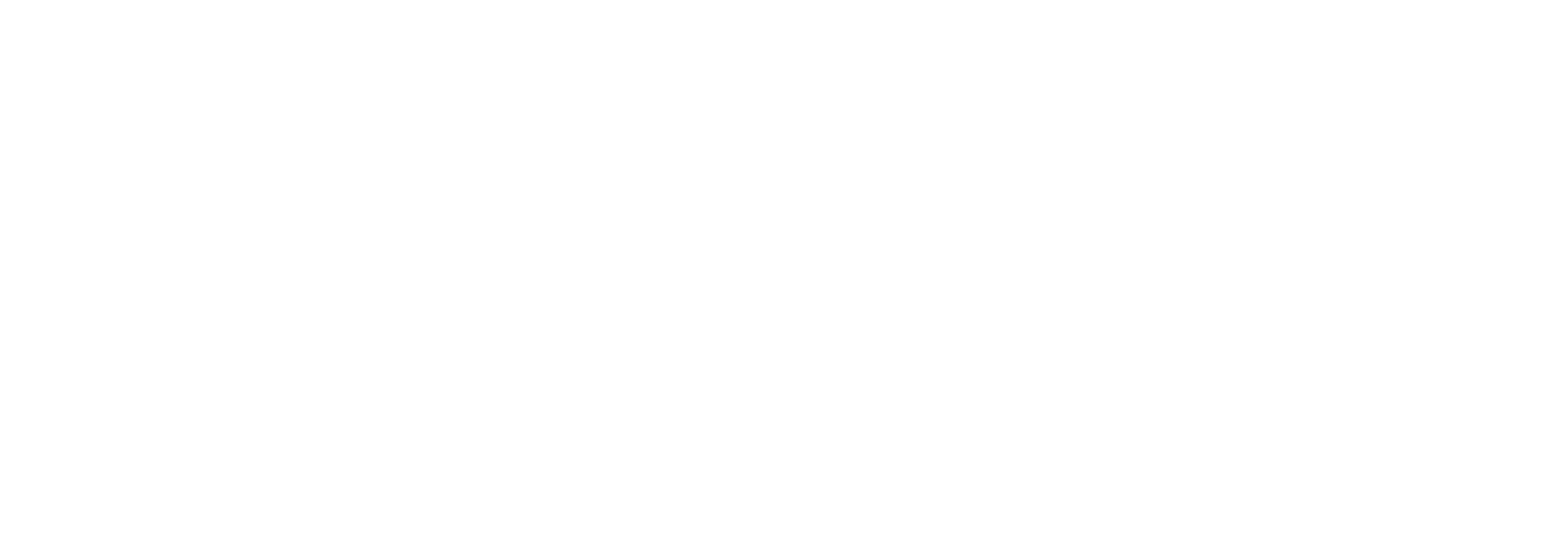 balloonary_Logo_white.png