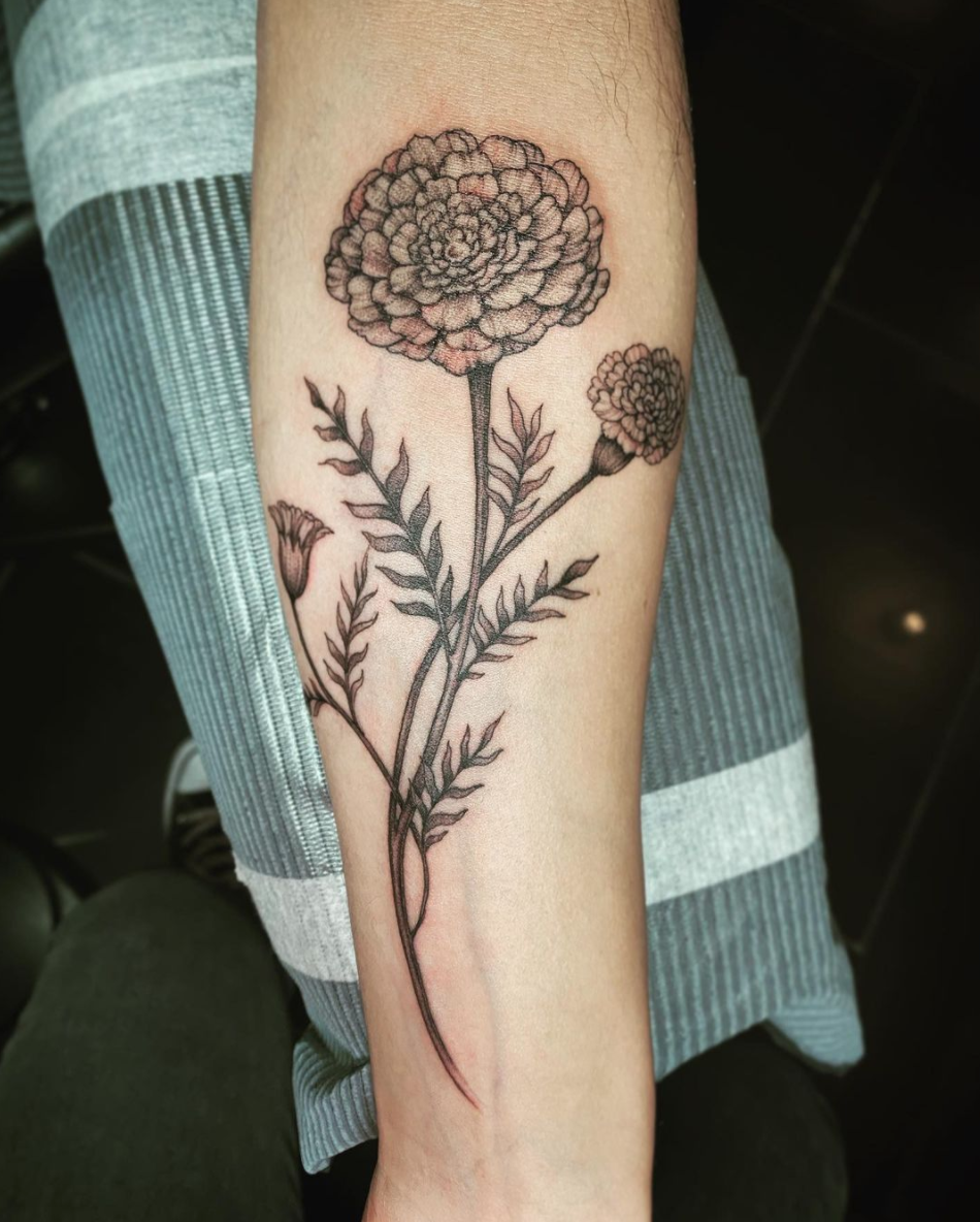 Botanical 10.png