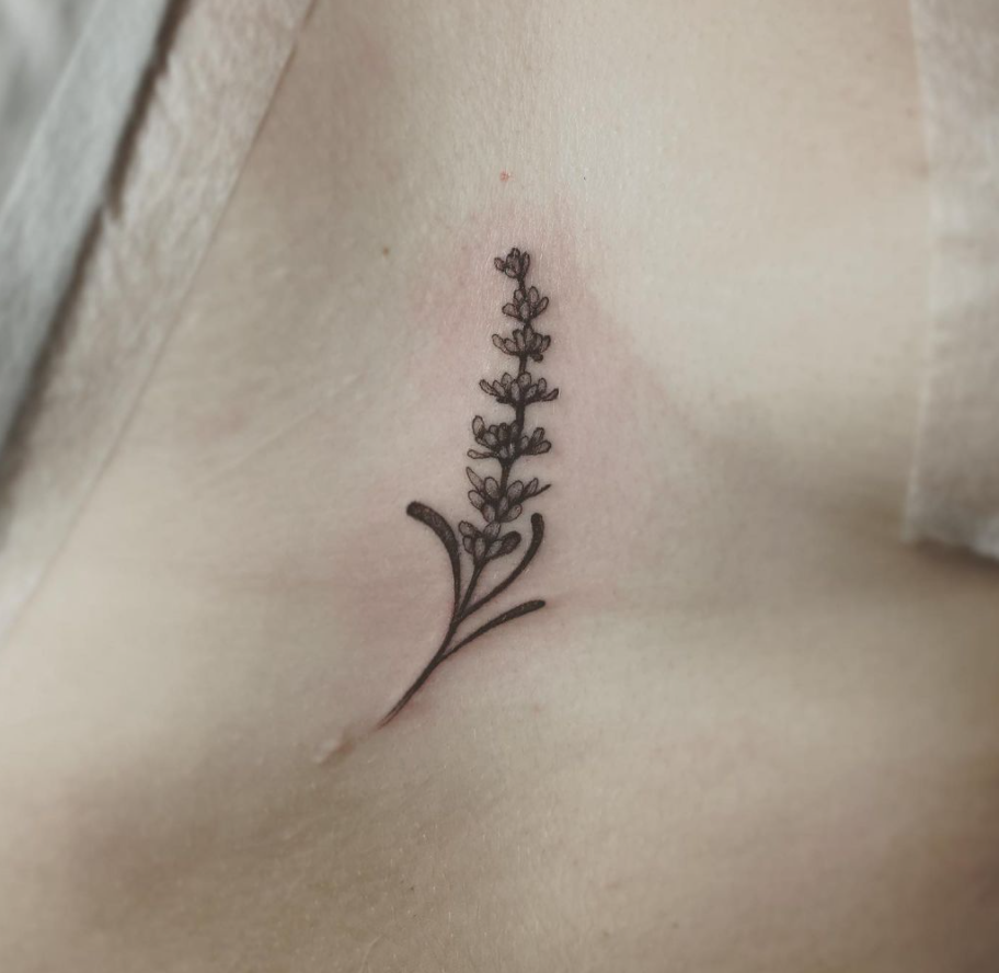 Botanical 8.png