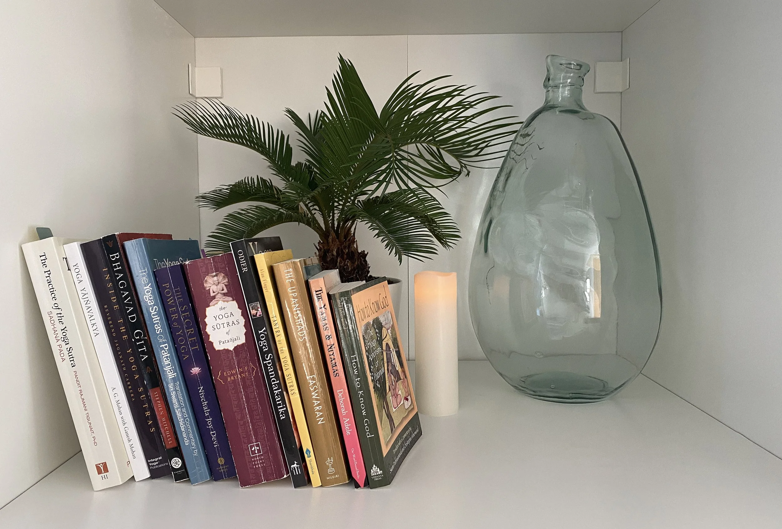 A grouping of Yoga philosophy texts leaned up in a white cubby, with a green plant and green glass vase behind them, representing our Yoga Philosophy class at Sthira Sukham Yoga in Ashburn Virginia
