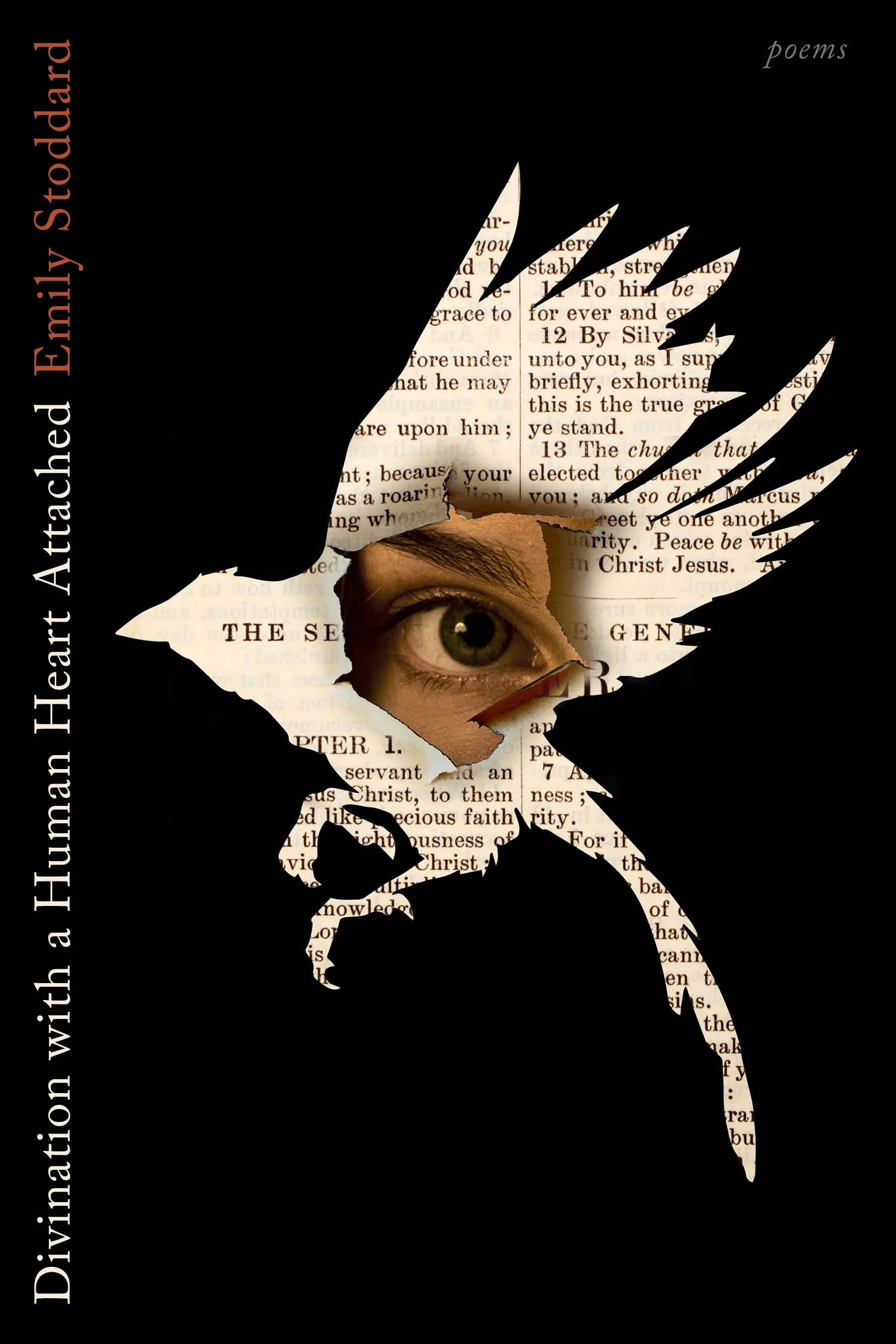 Emily Stoddard / writer
