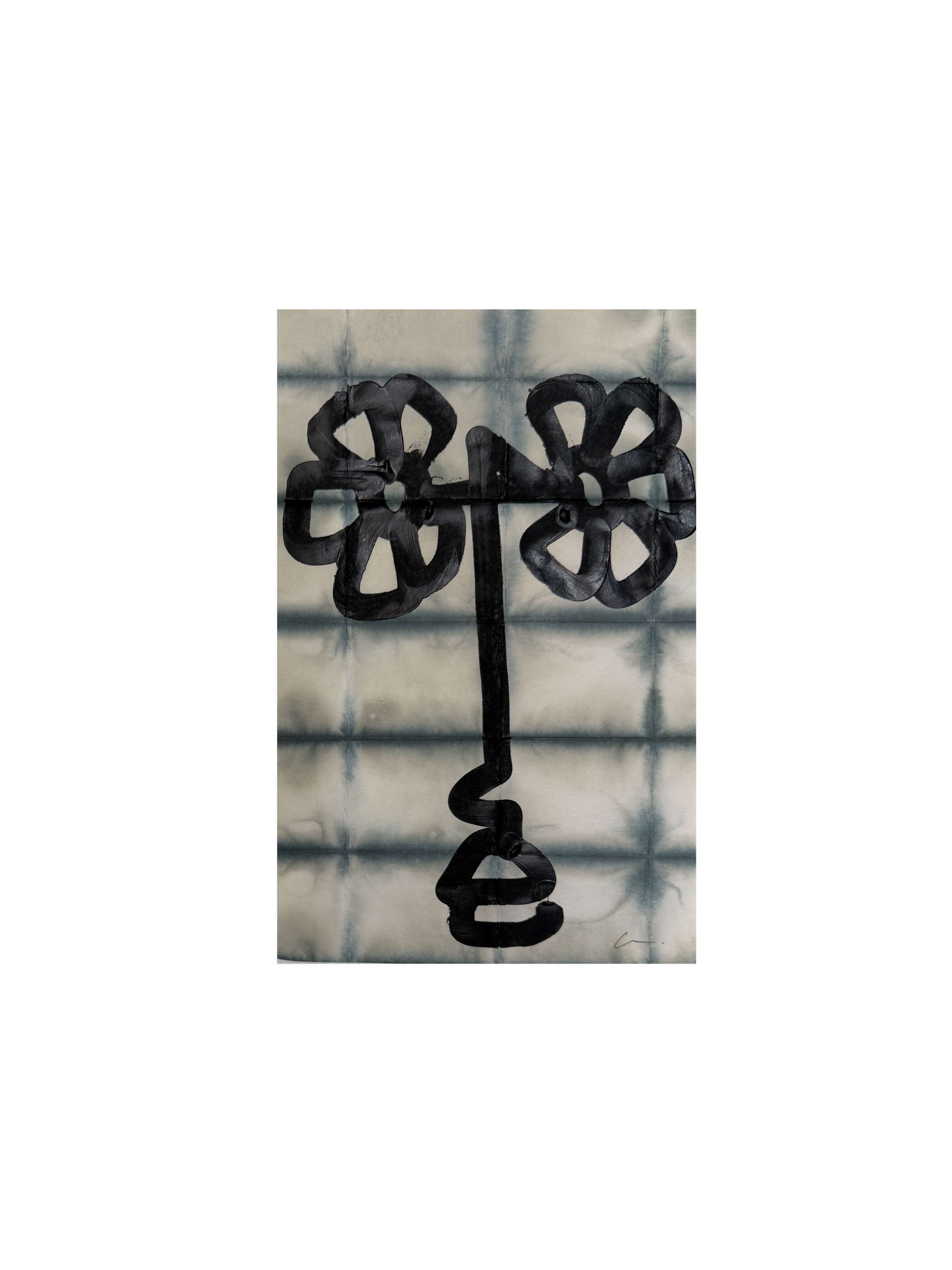 IMG_1929.png