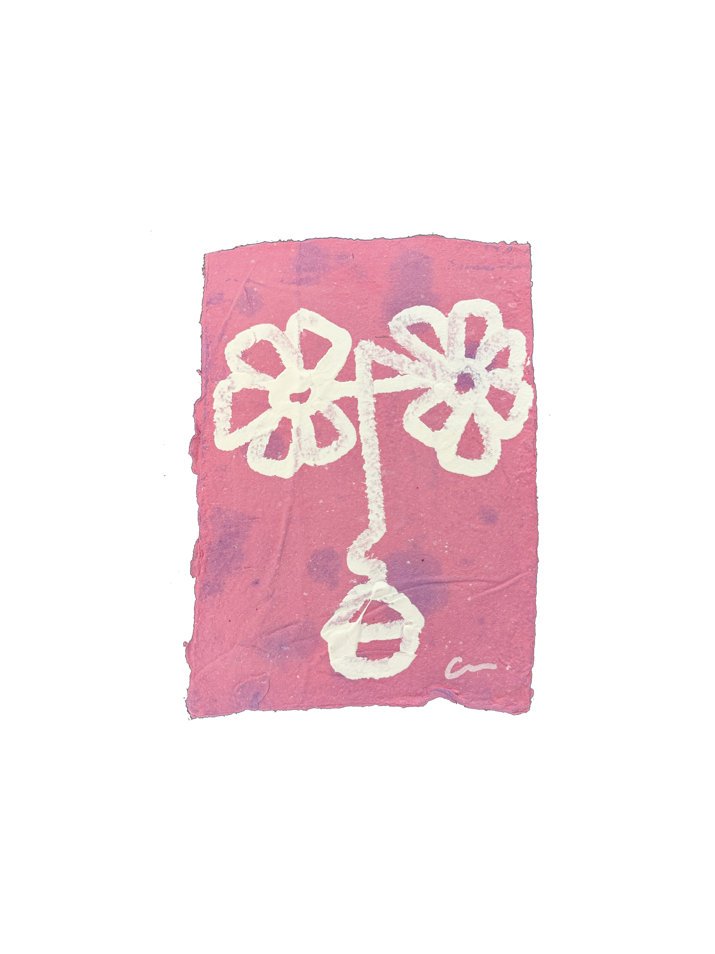 IMG_1921.png