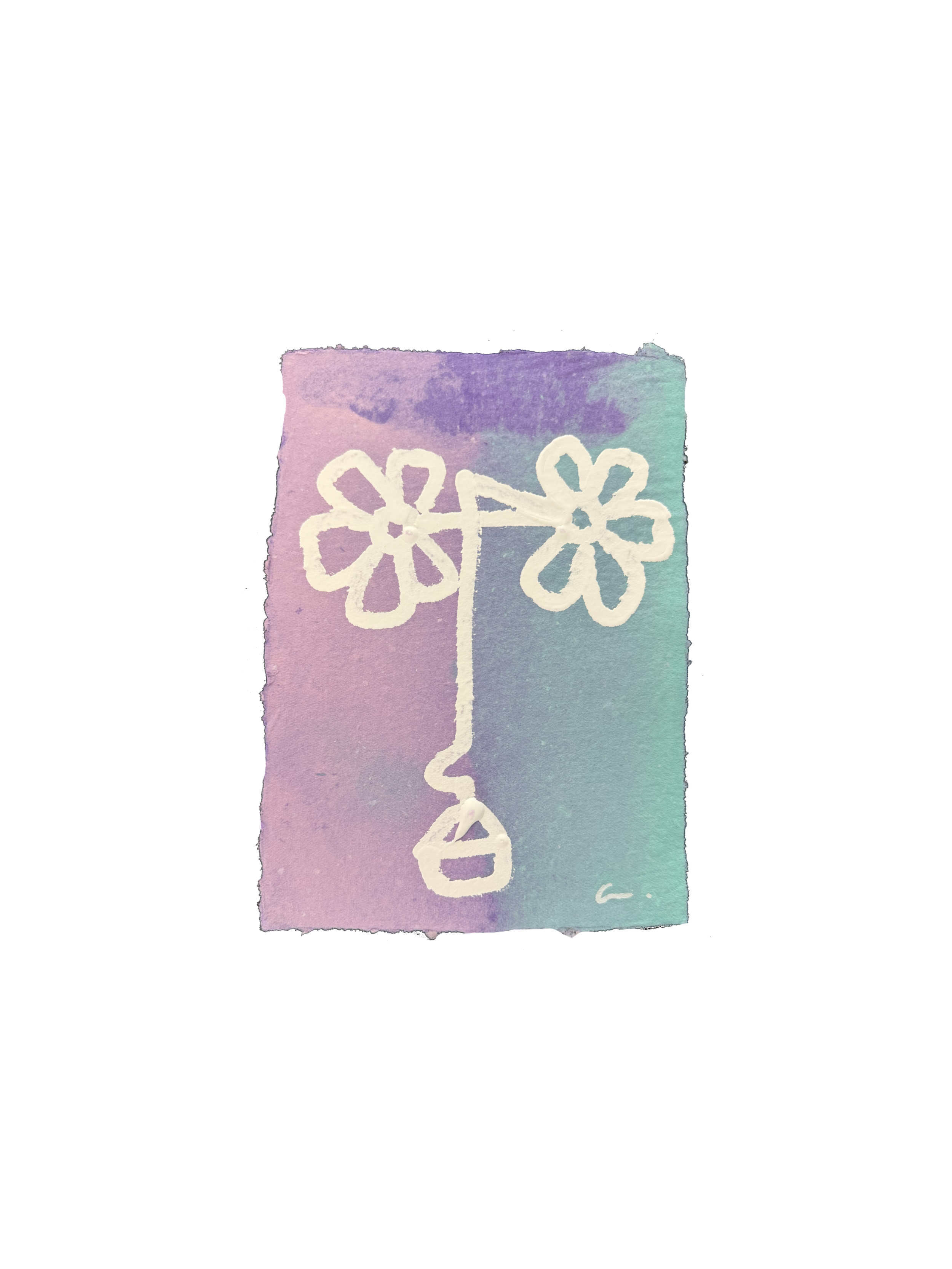 IMG_1922.png