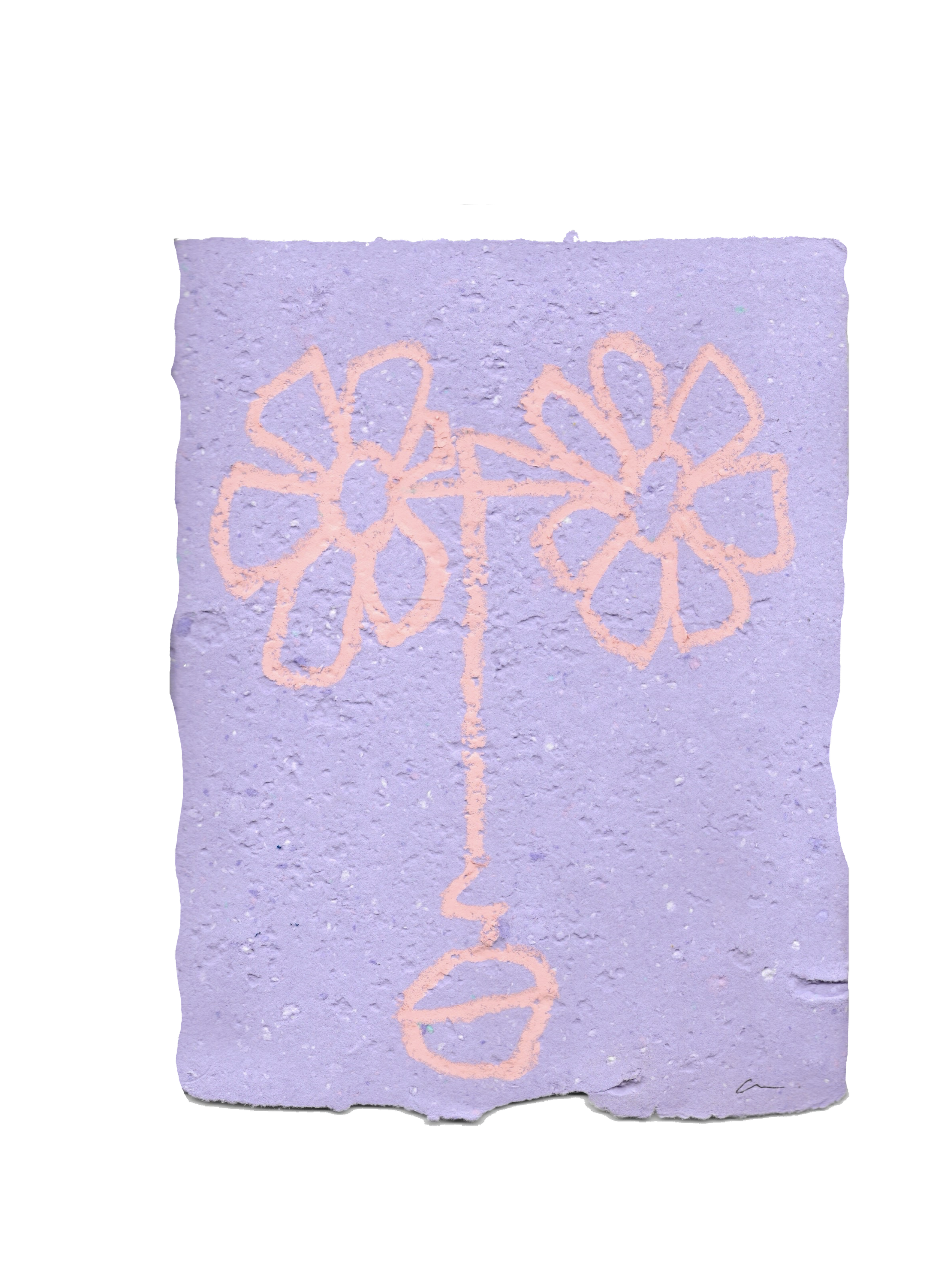 IMG_1800.png