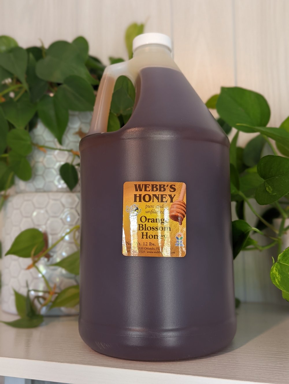 1 Gallon Orange Blossom - Old Florida Bee Company