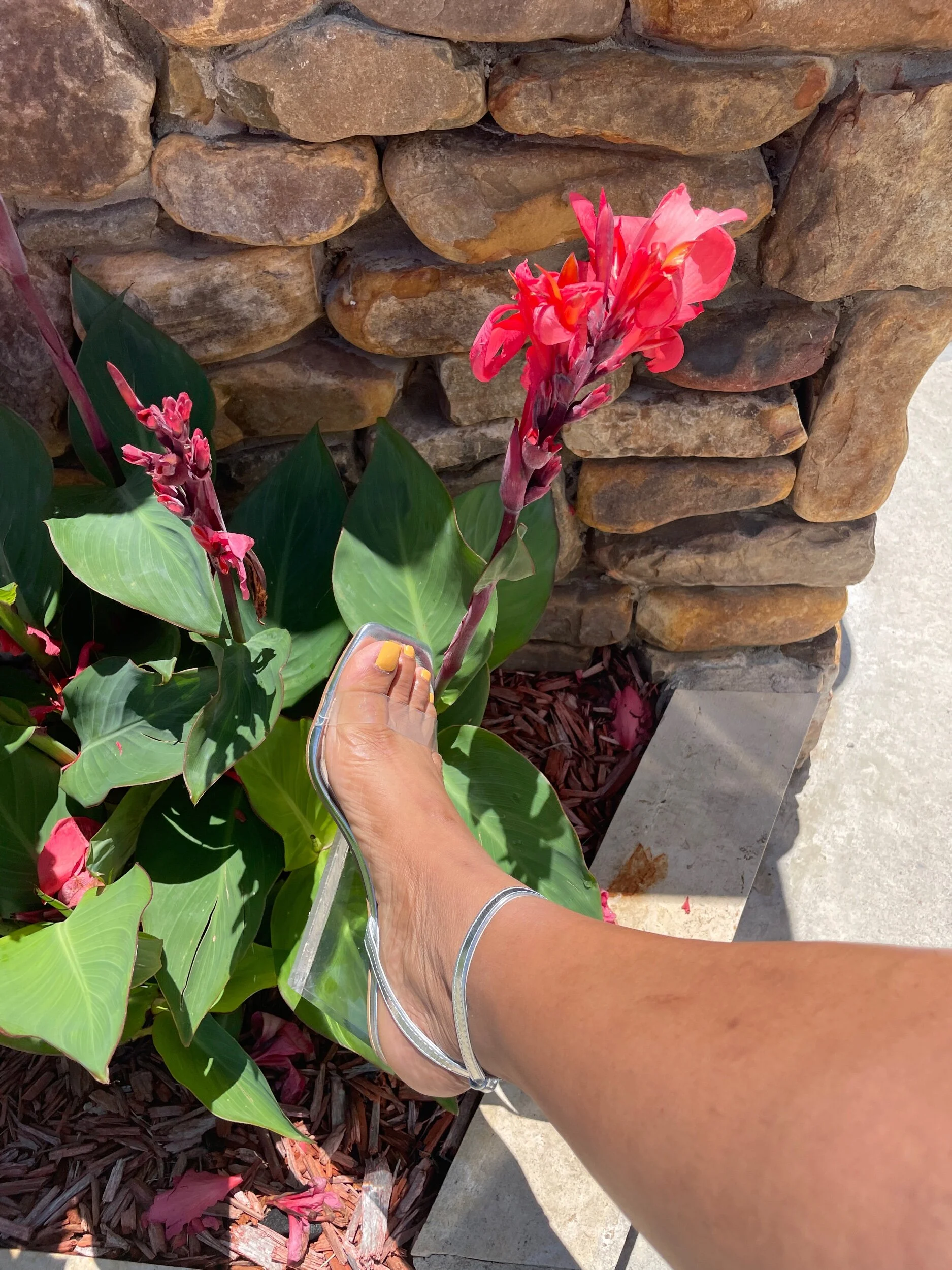 604FBC1A-9F56-424F-BC6C-1573041ECBC5