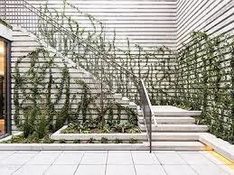 Five Six One Pacific