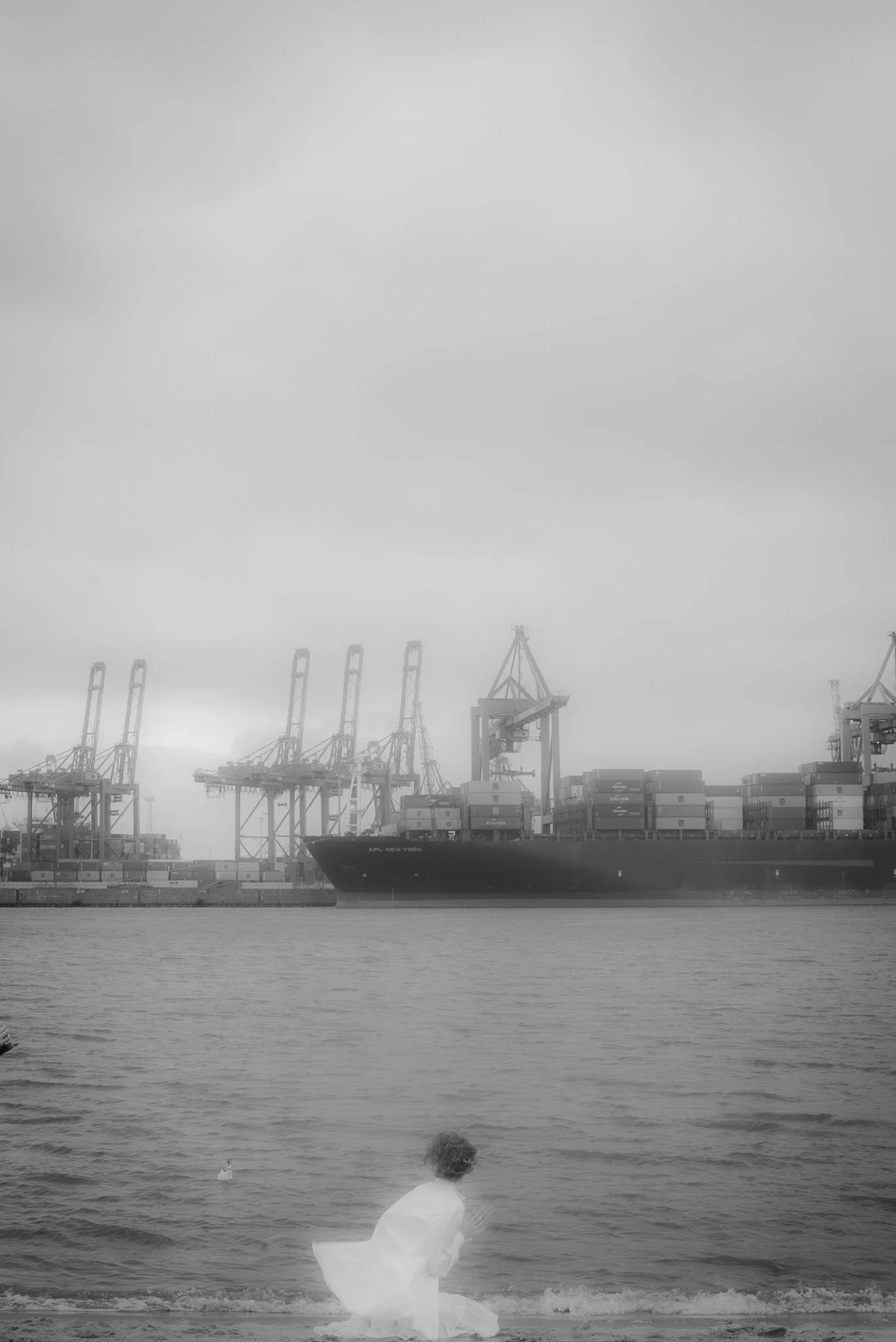 DSC00176-2.jpg